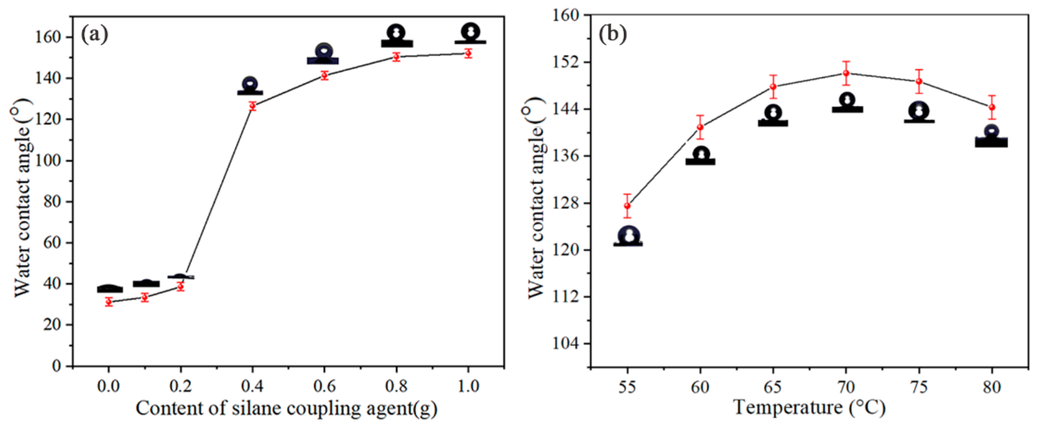Coatings 10 01244 g001