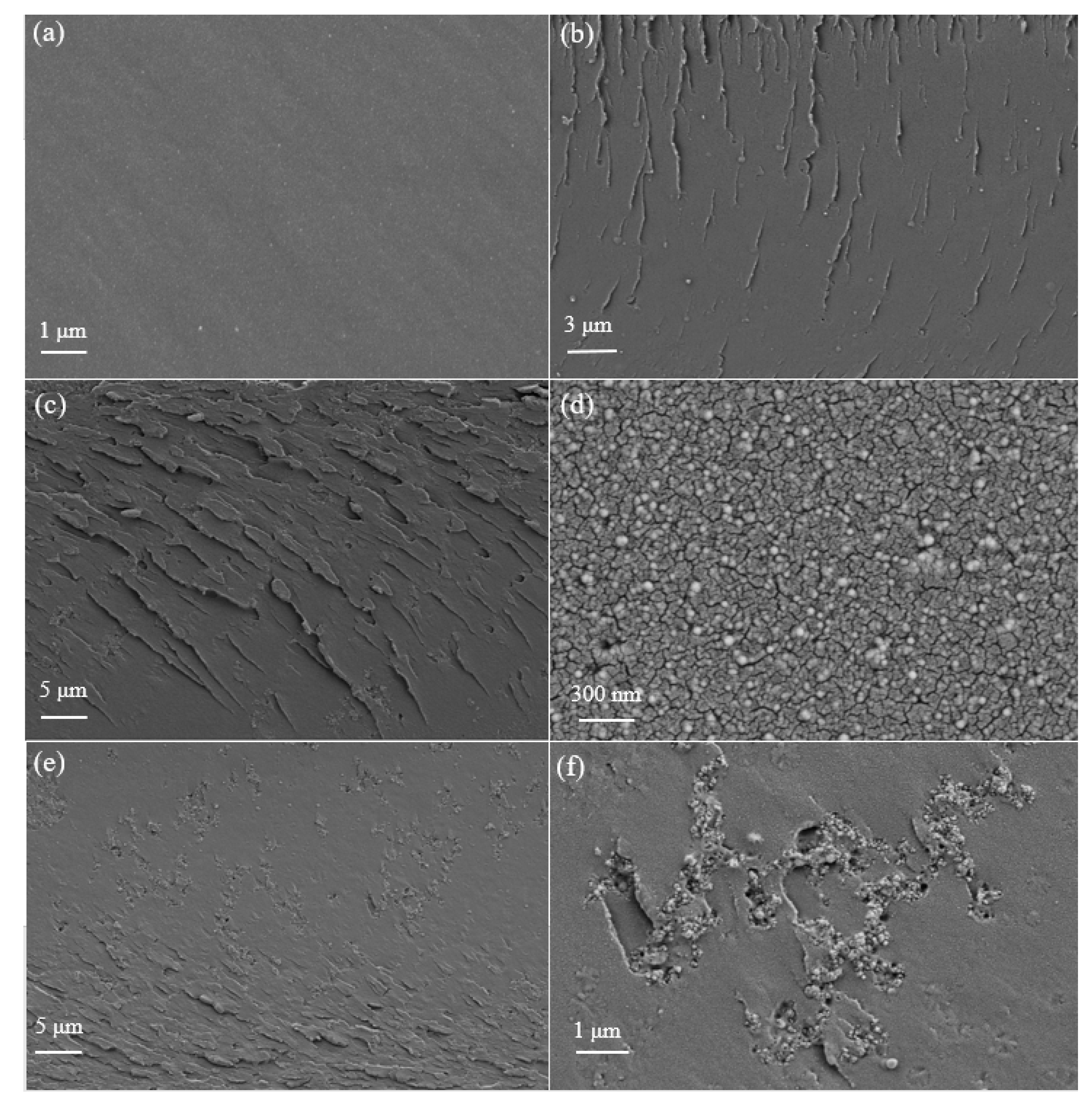 Coatings 10 01244 g008