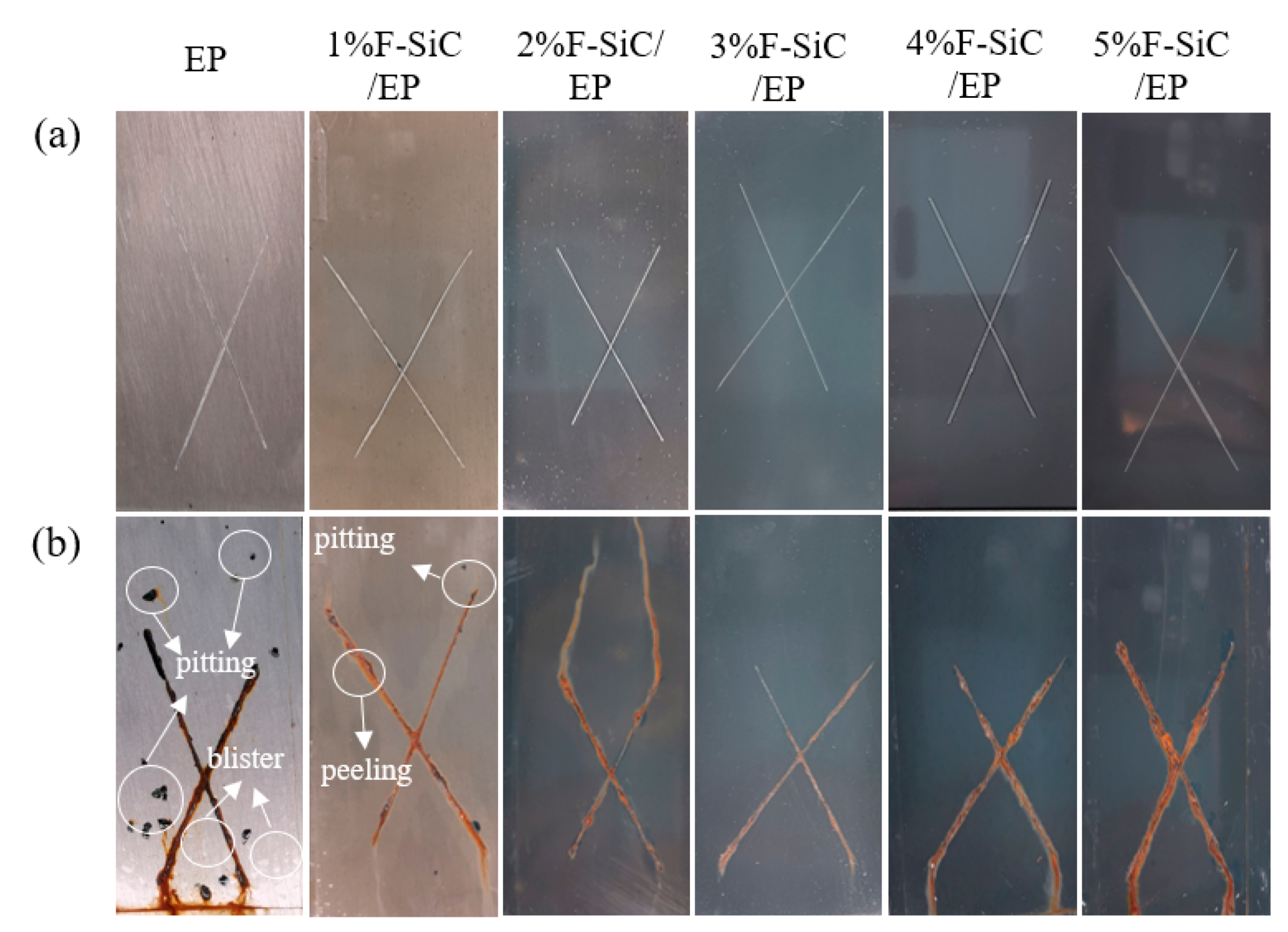 Coatings 10 01244 g012