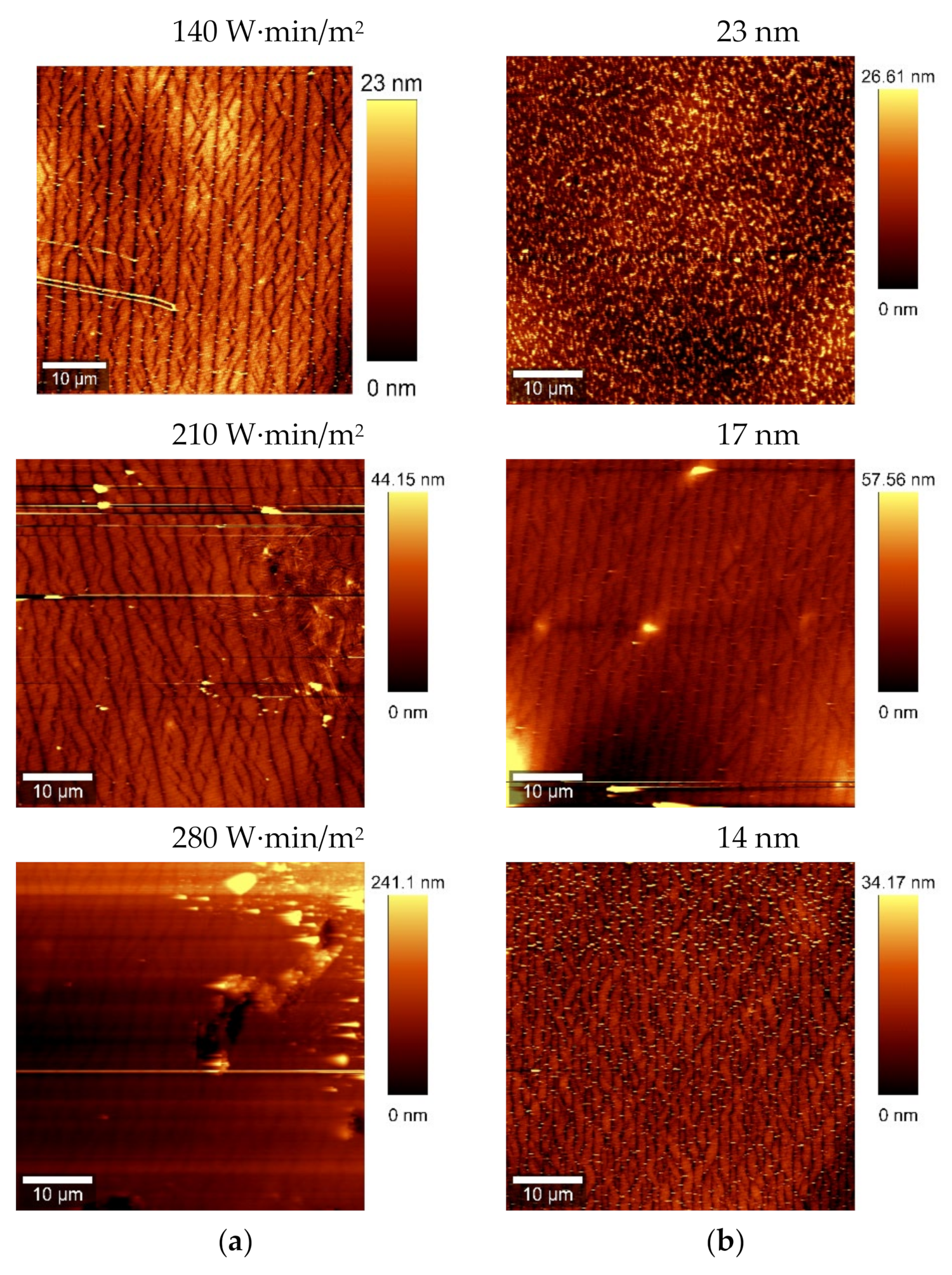 Coatings 10 01245 g007b