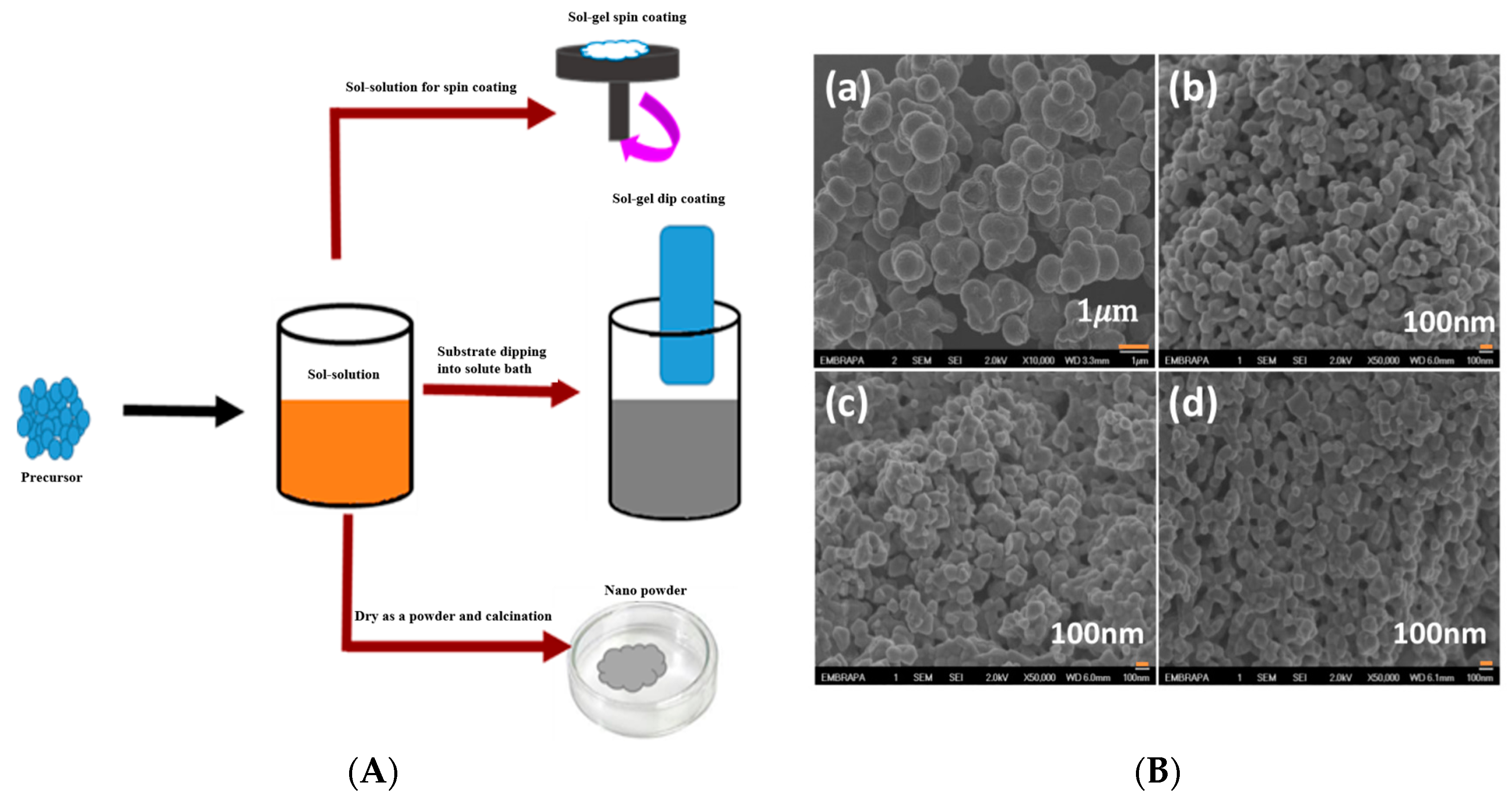 Coatings 10 01246 g007