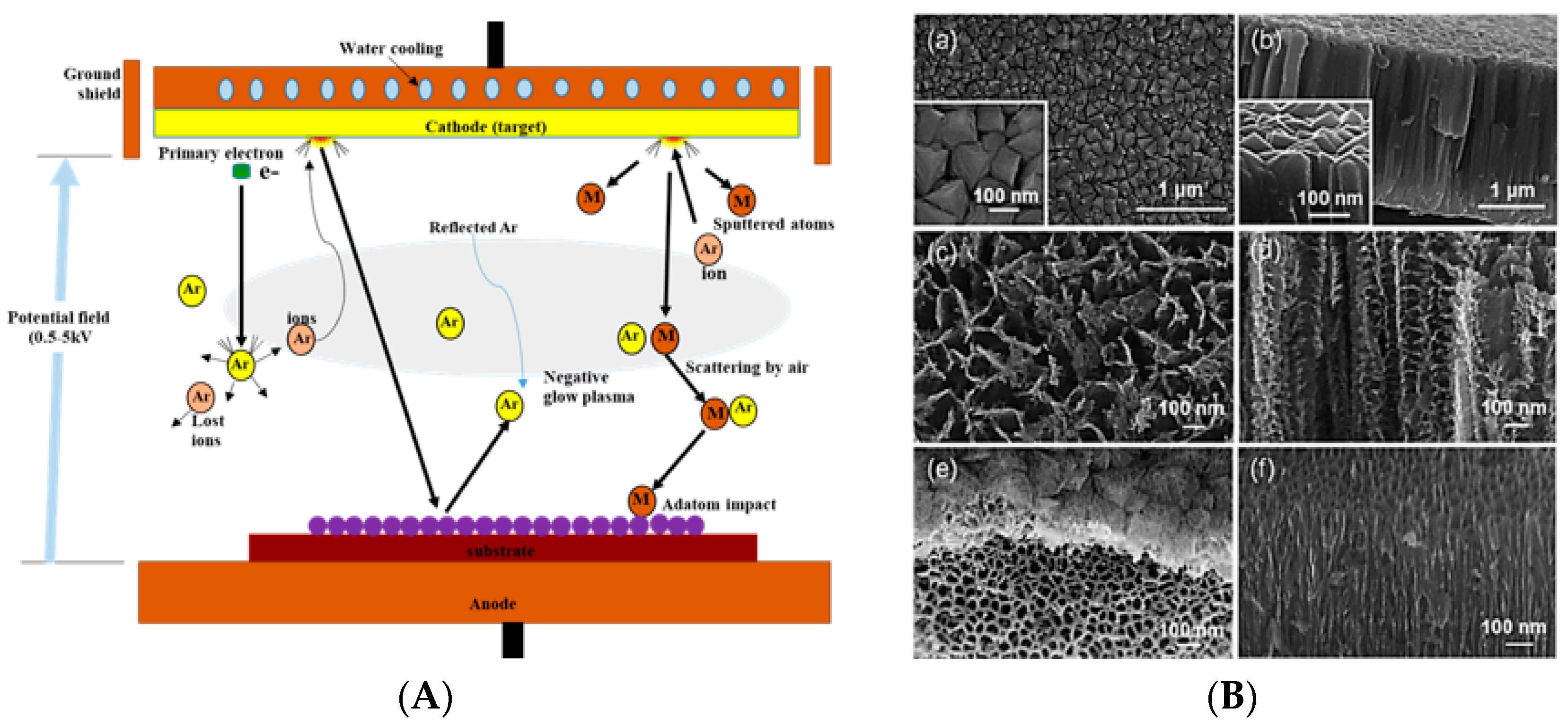 Coatings 10 01246 g009