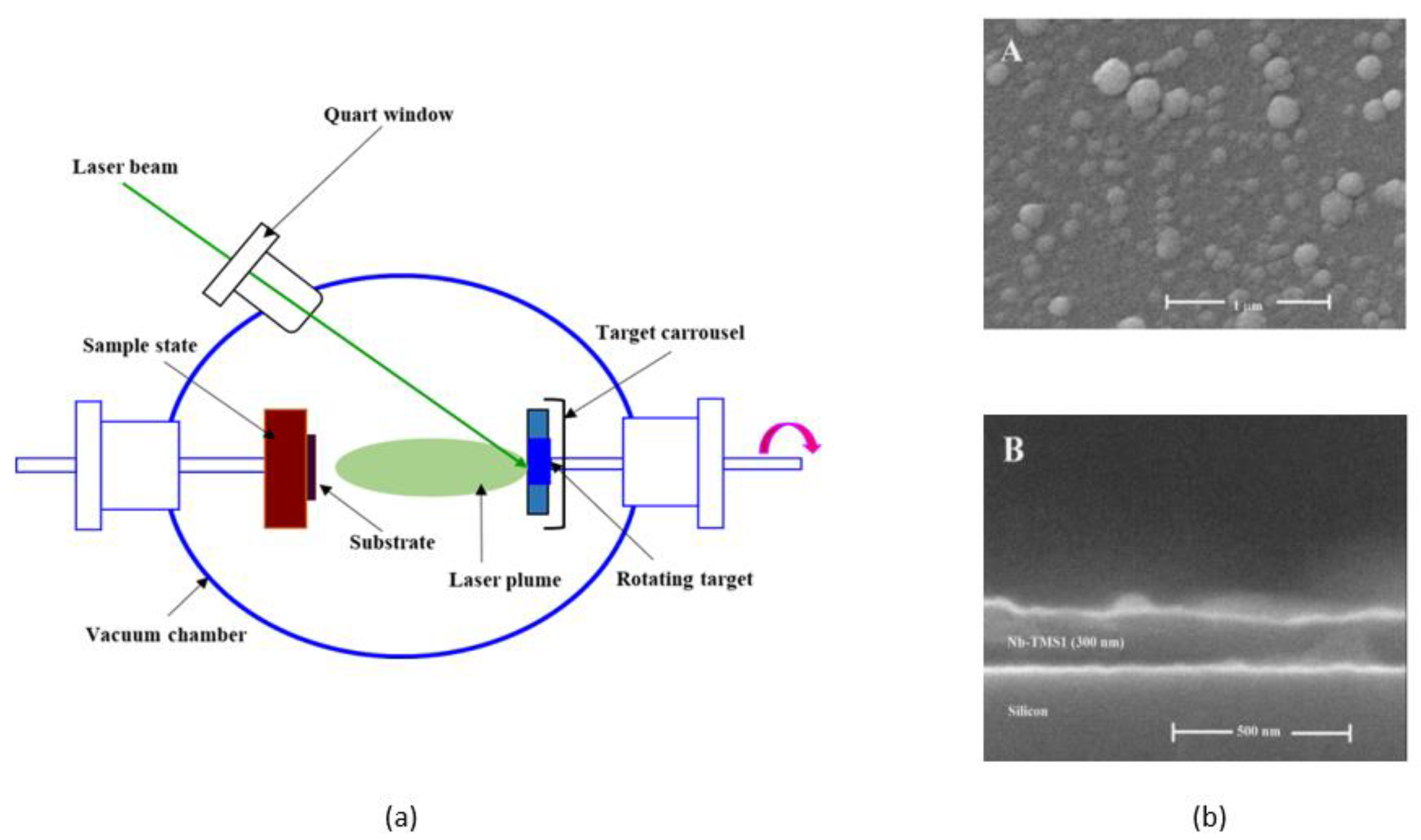 Coatings 10 01246 g010