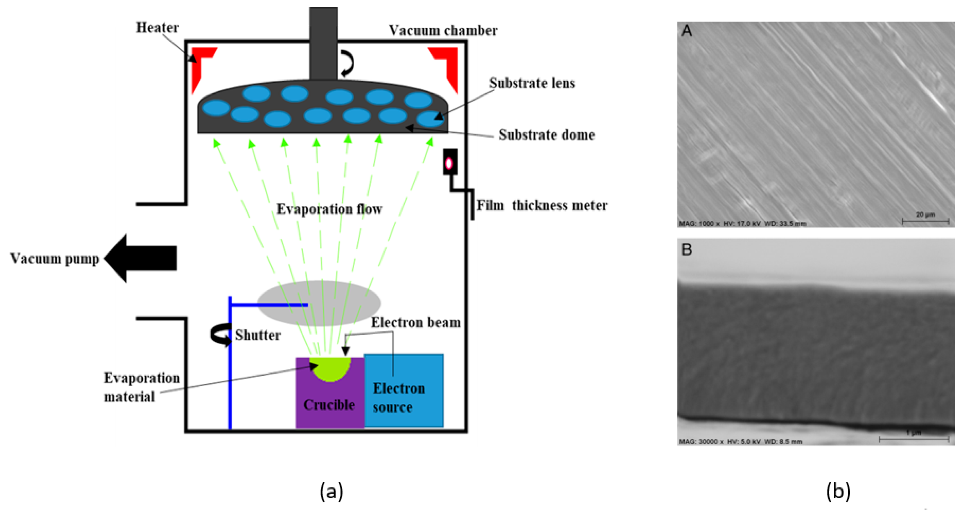 Coatings 10 01246 g012
