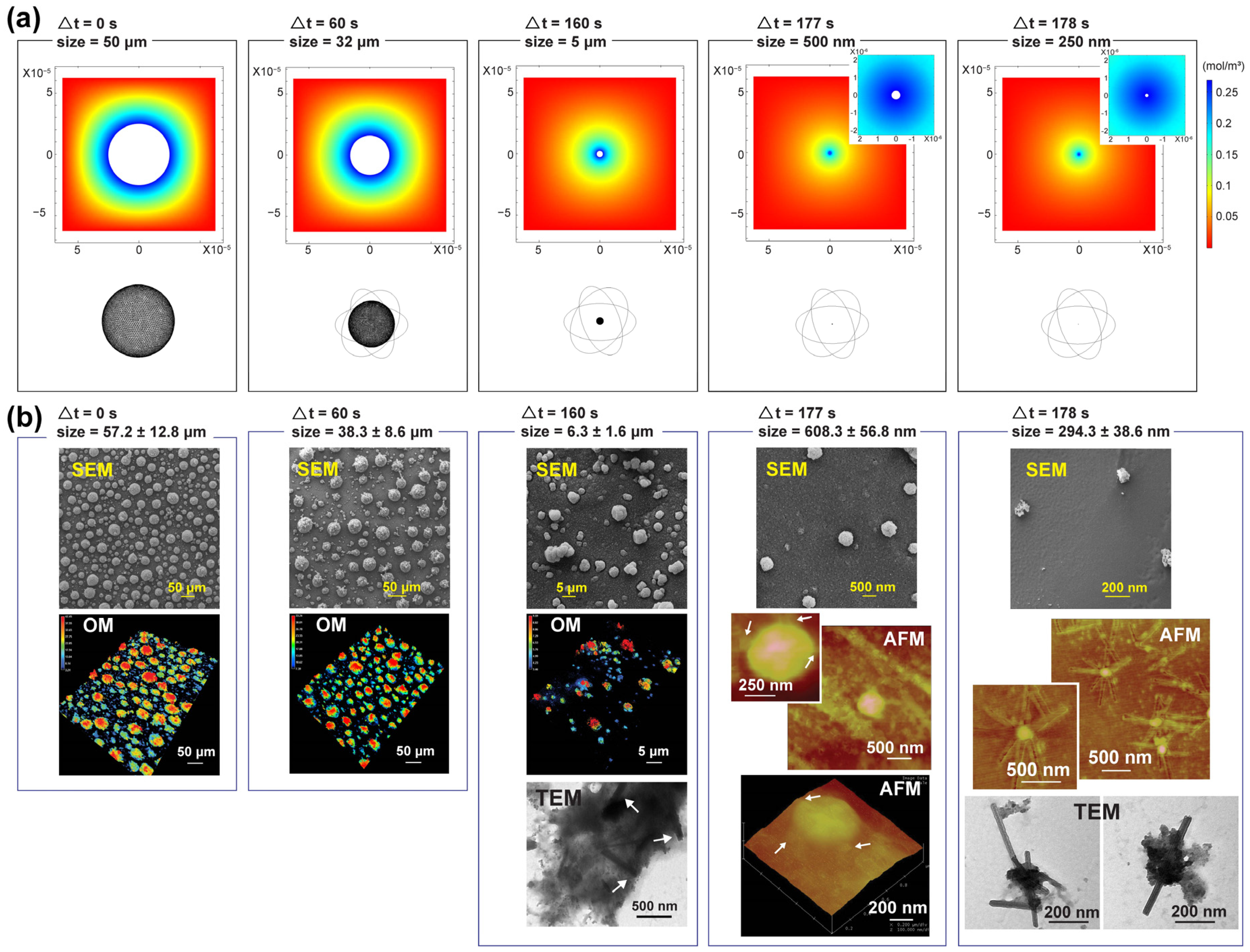 Coatings 10 01248 g005