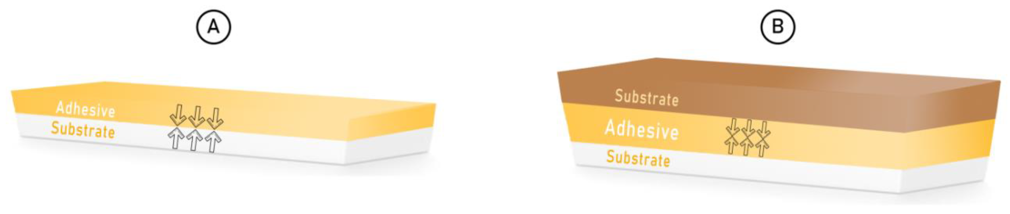 Coatings 10 01249 g001