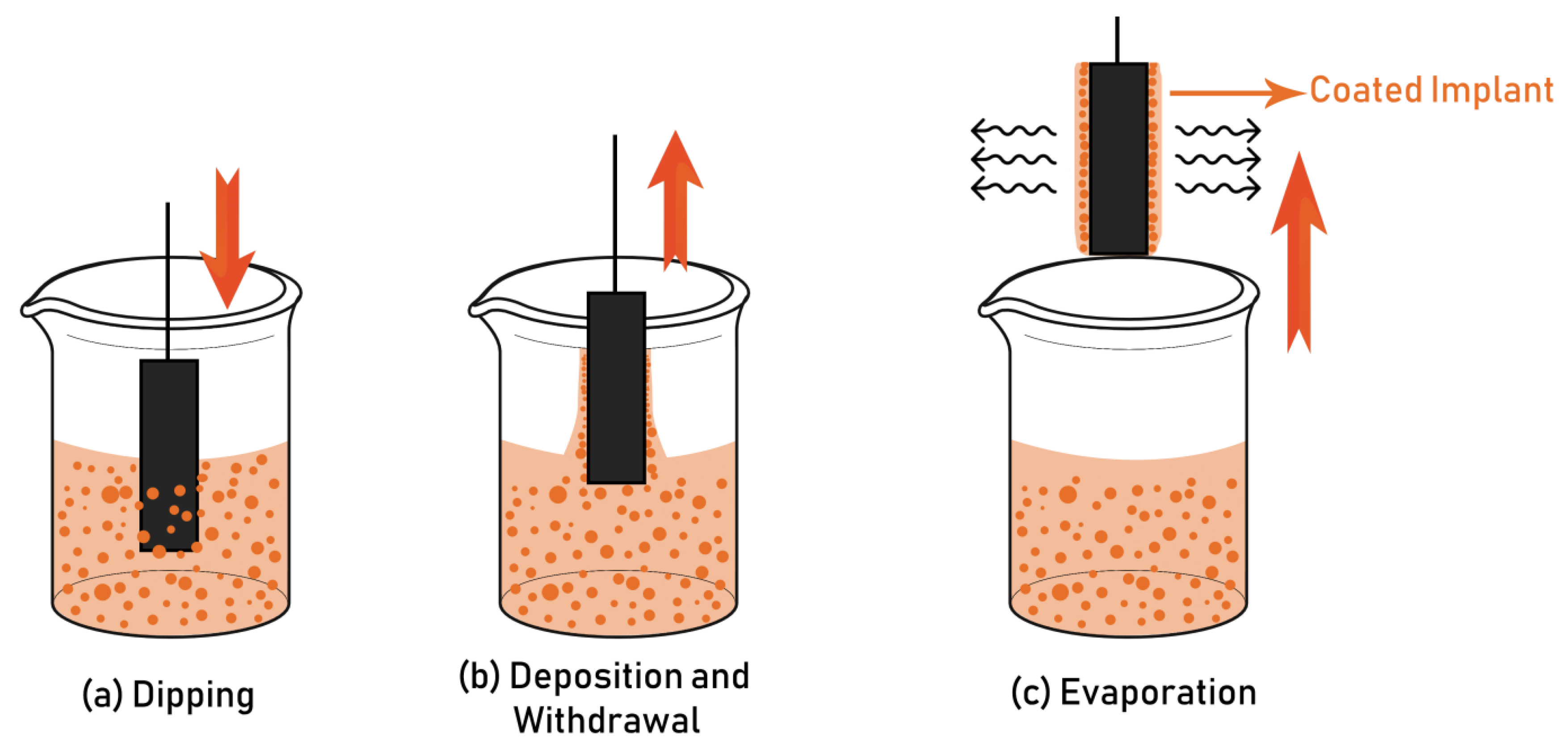 Coatings 10 01249 g002