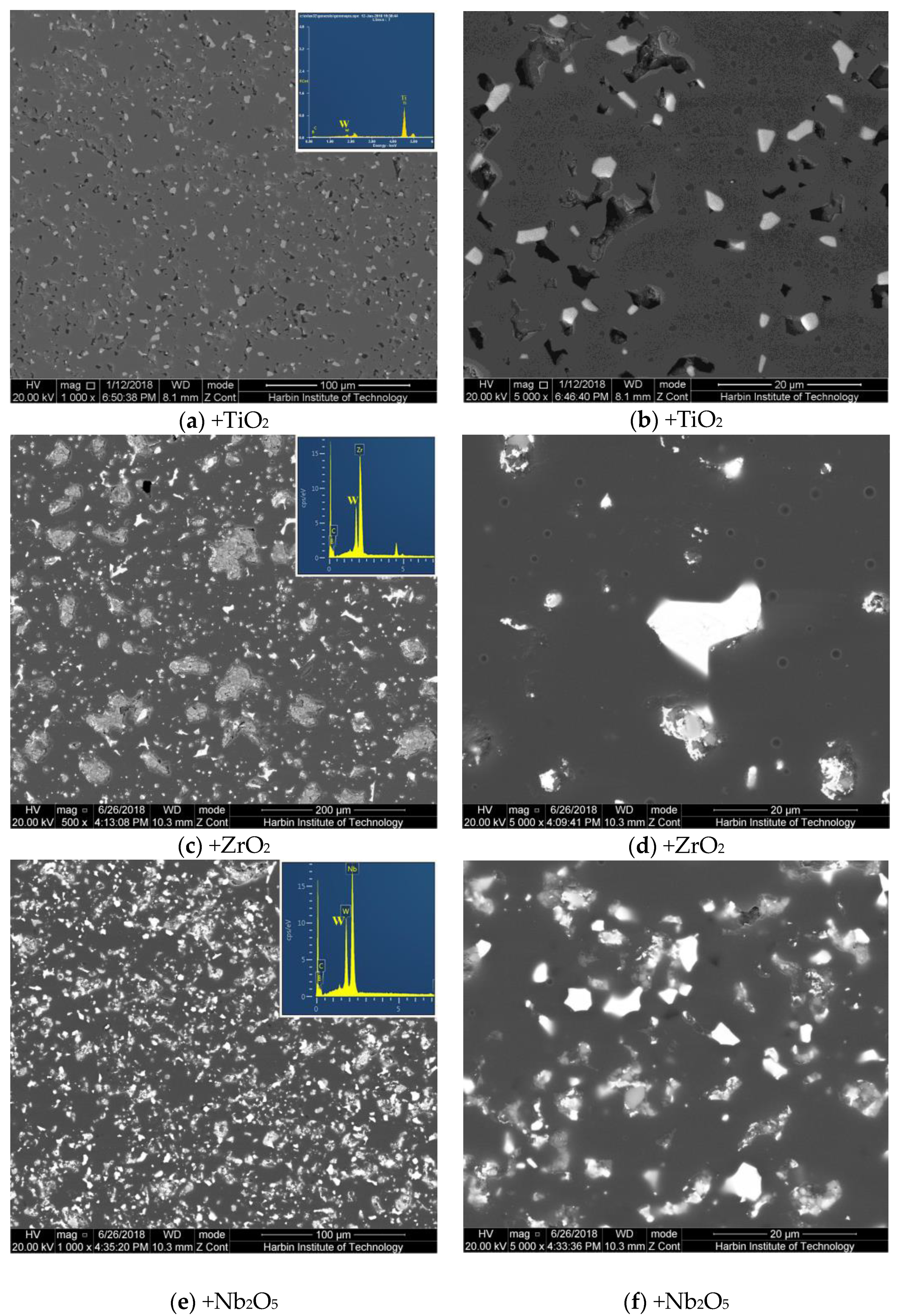 Coatings 10 01253 g003a Coatings 10 01253 g003a