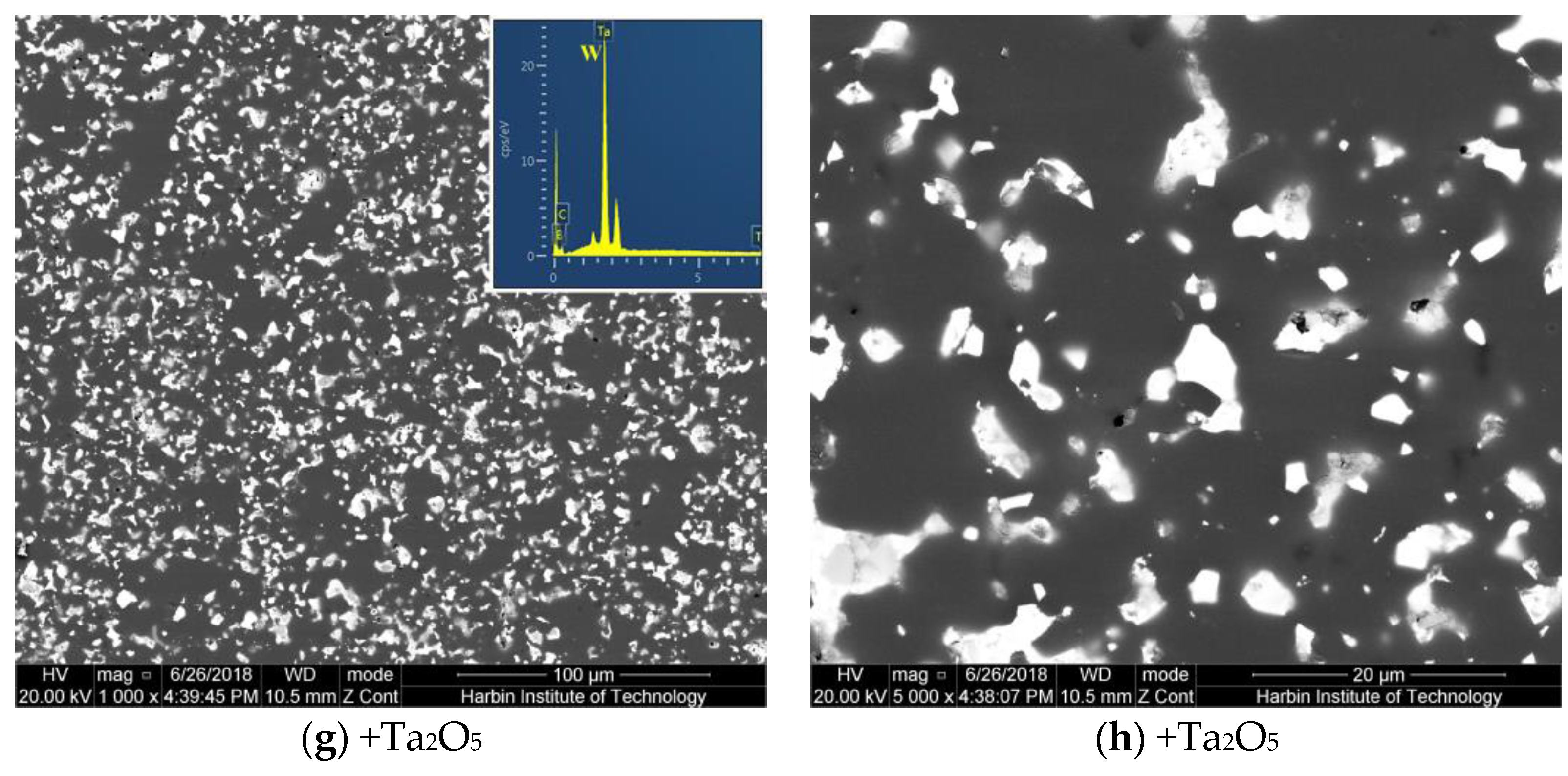 Coatings 10 01253 g003b Coatings 10 01253 g003b