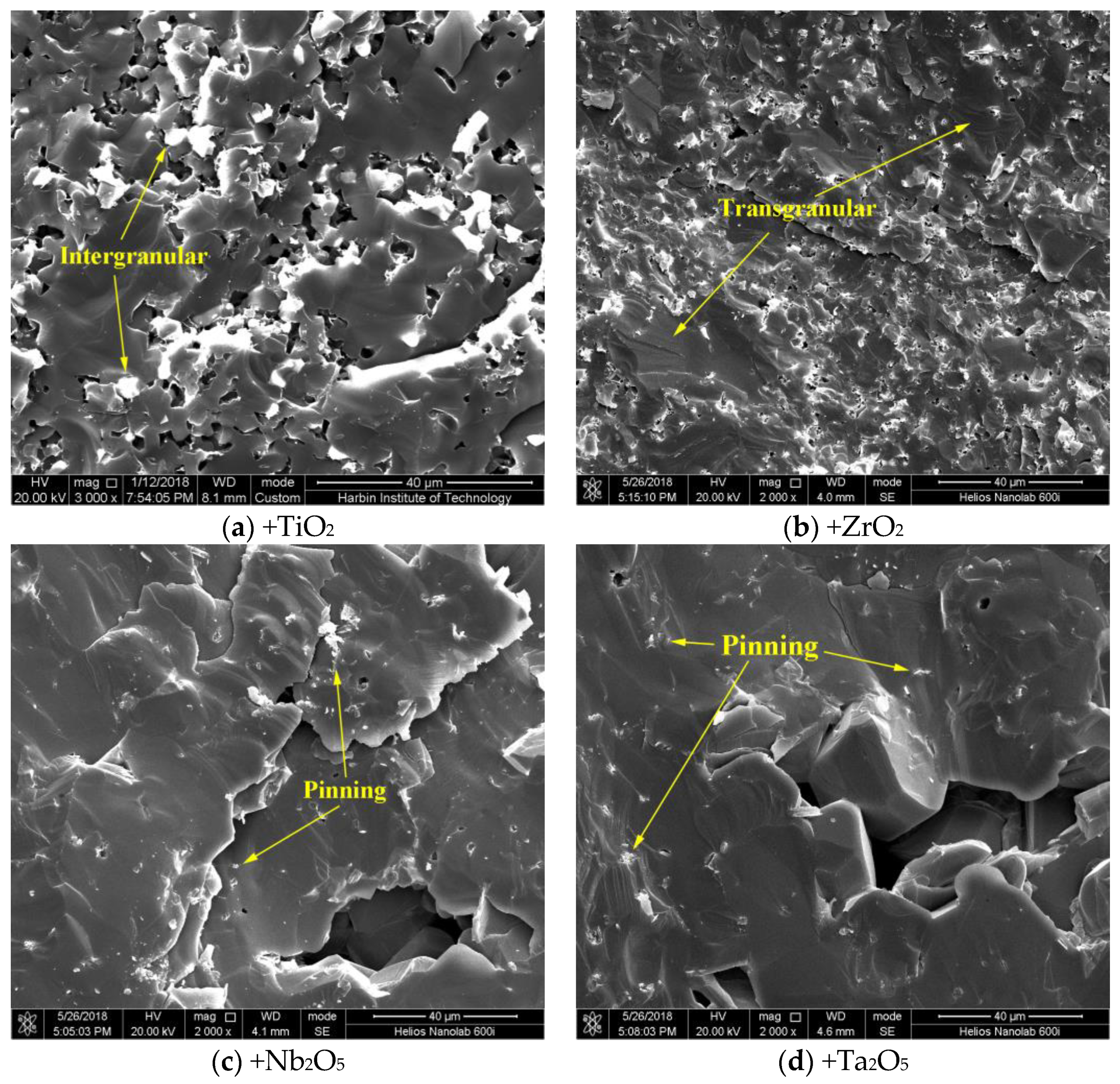 Coatings 10 01253 g004 Coatings 10 01253 g004