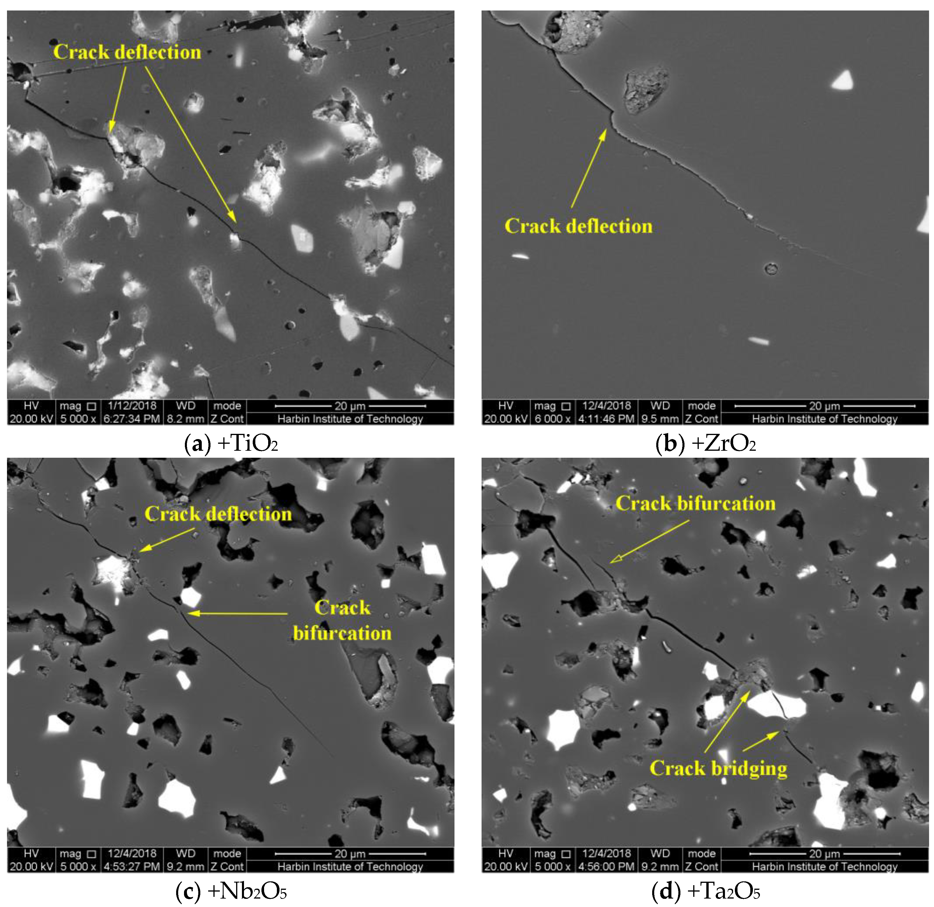 Coatings 10 01253 g005 Coatings 10 01253 g005