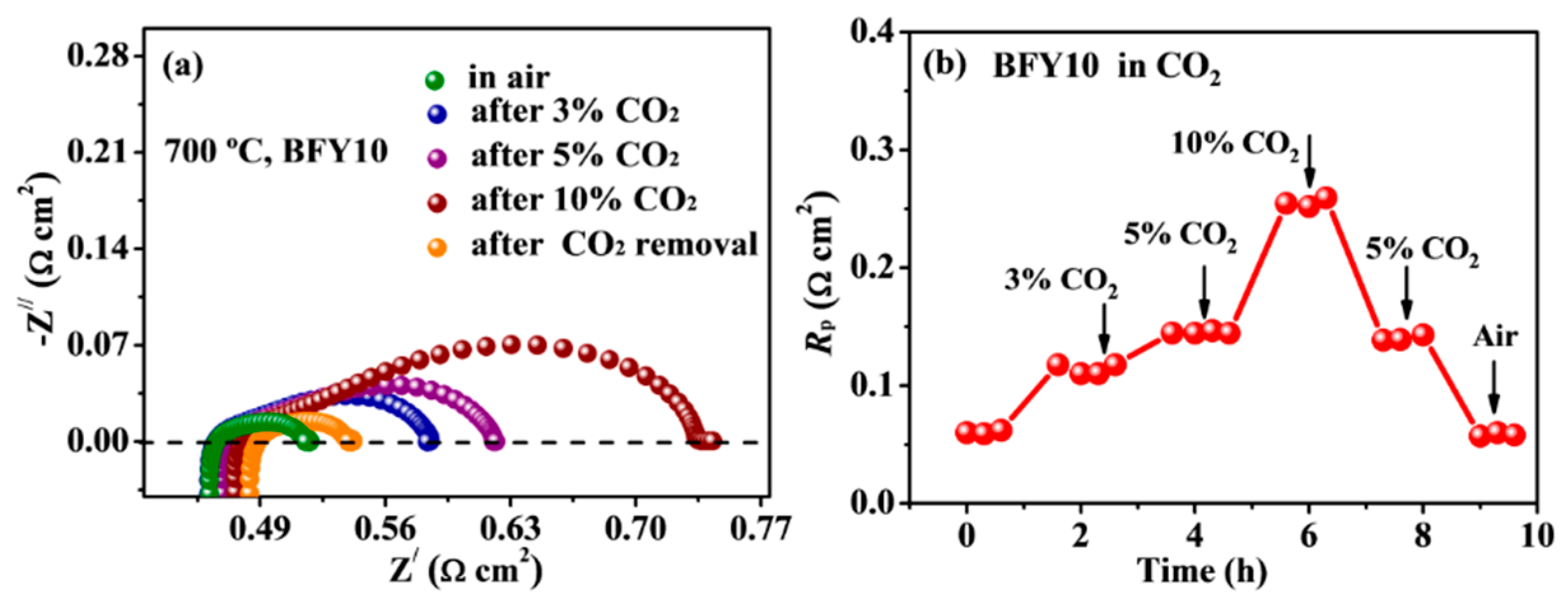 Coatings 10 01260 g006