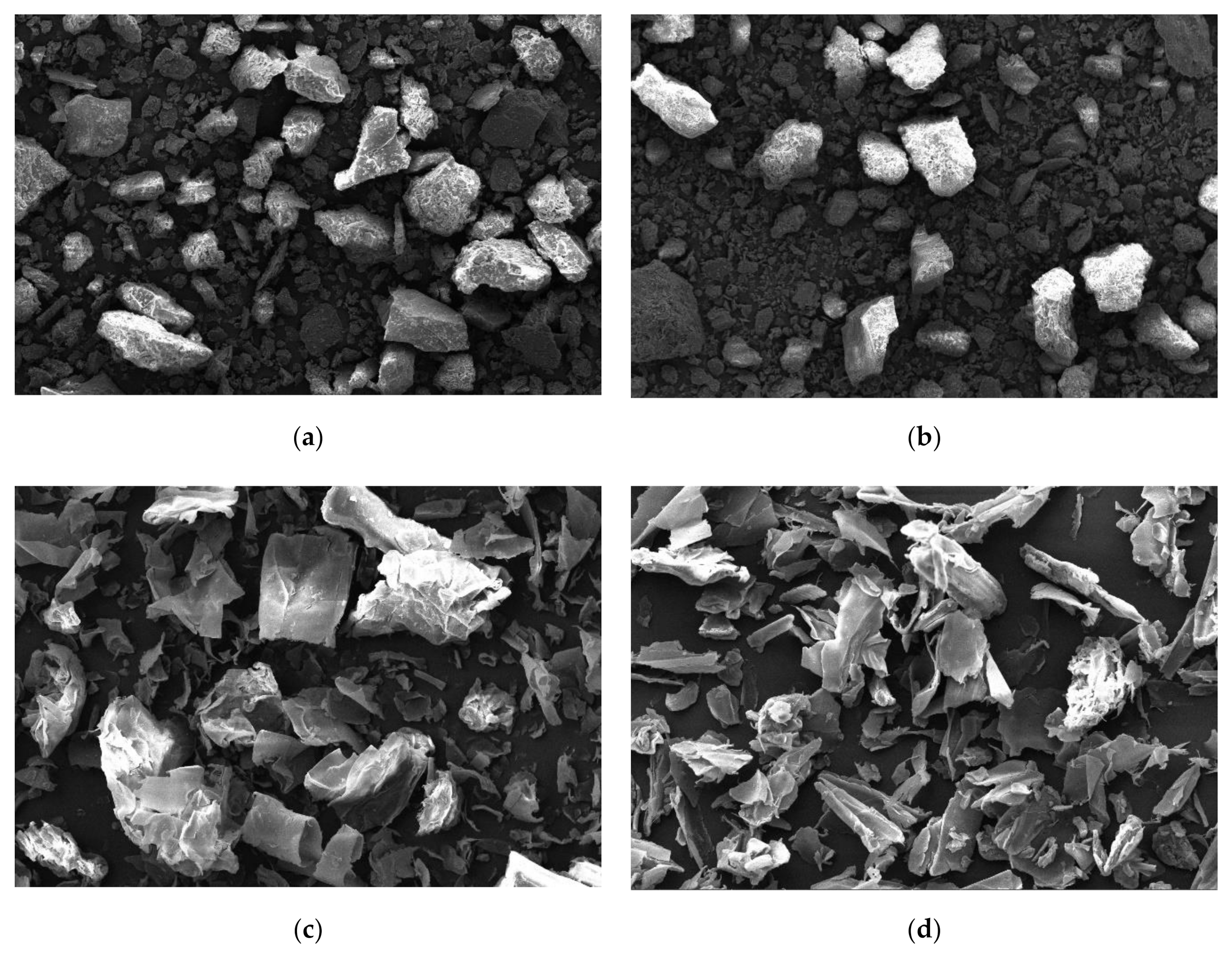 Coatings 10 01262 g003