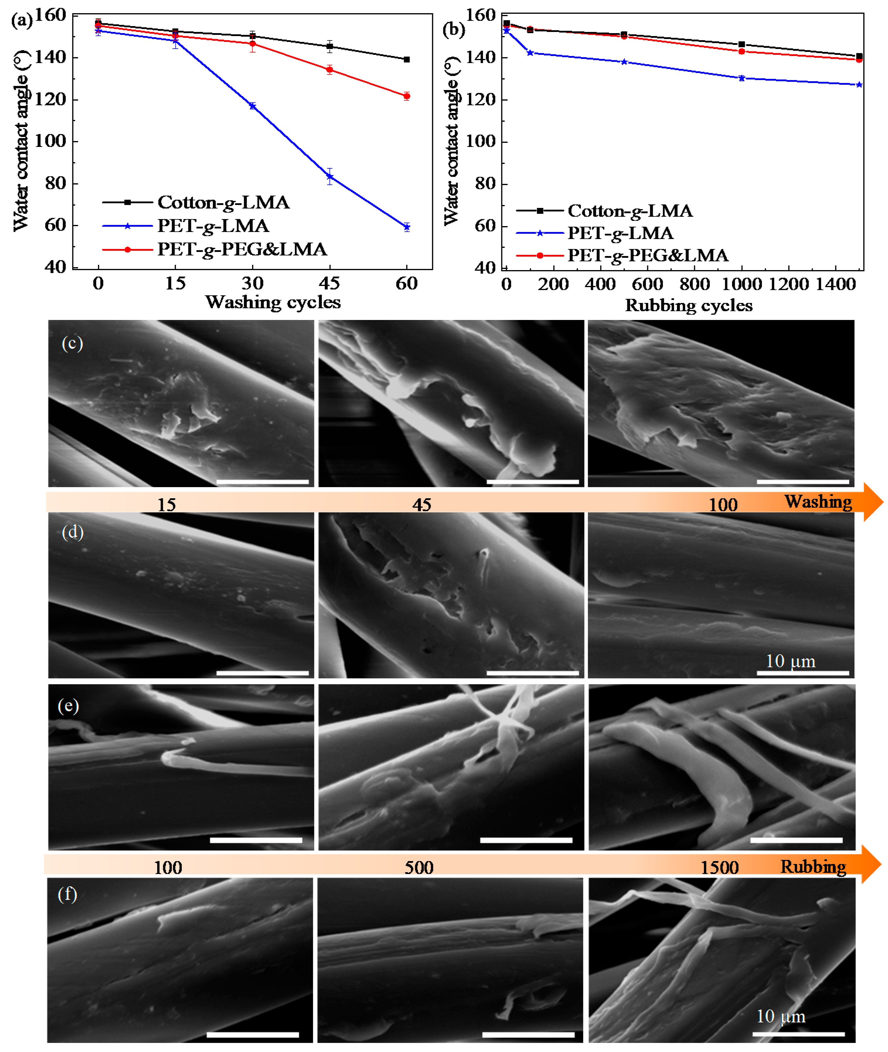 Coatings 10 01263 g004 Coatings 10 01263 g004
