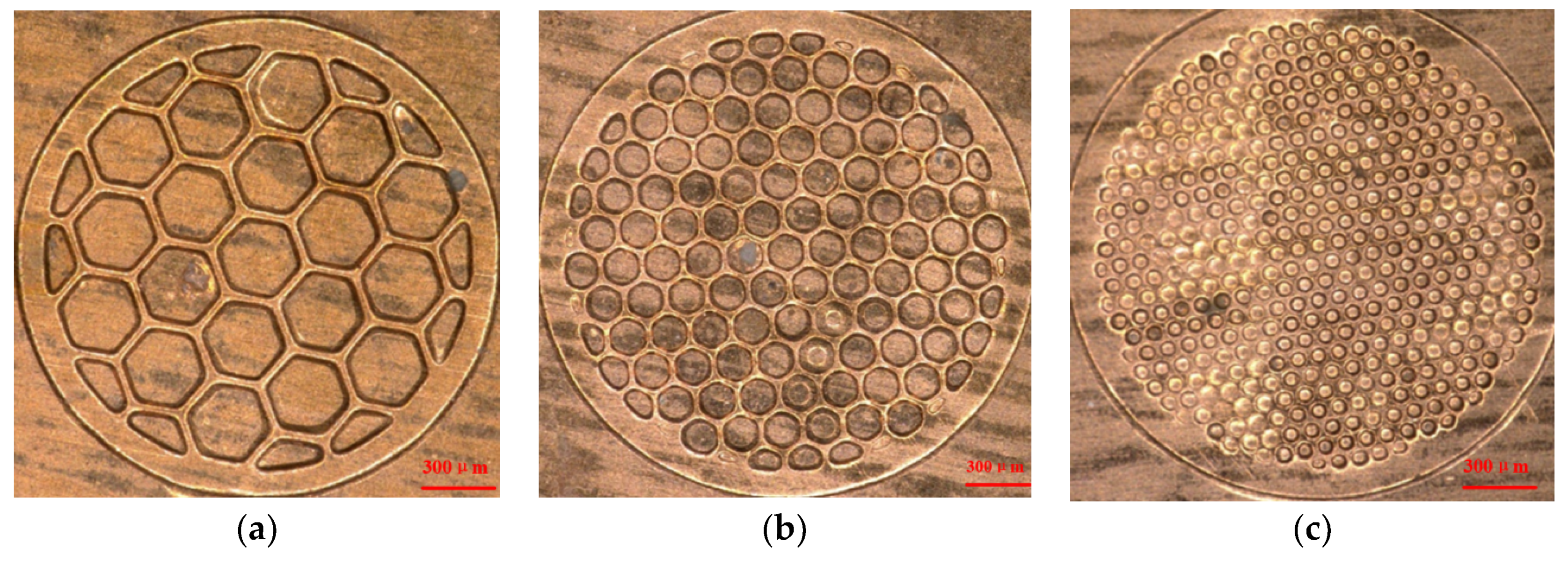 Coatings 10 01264 g005
