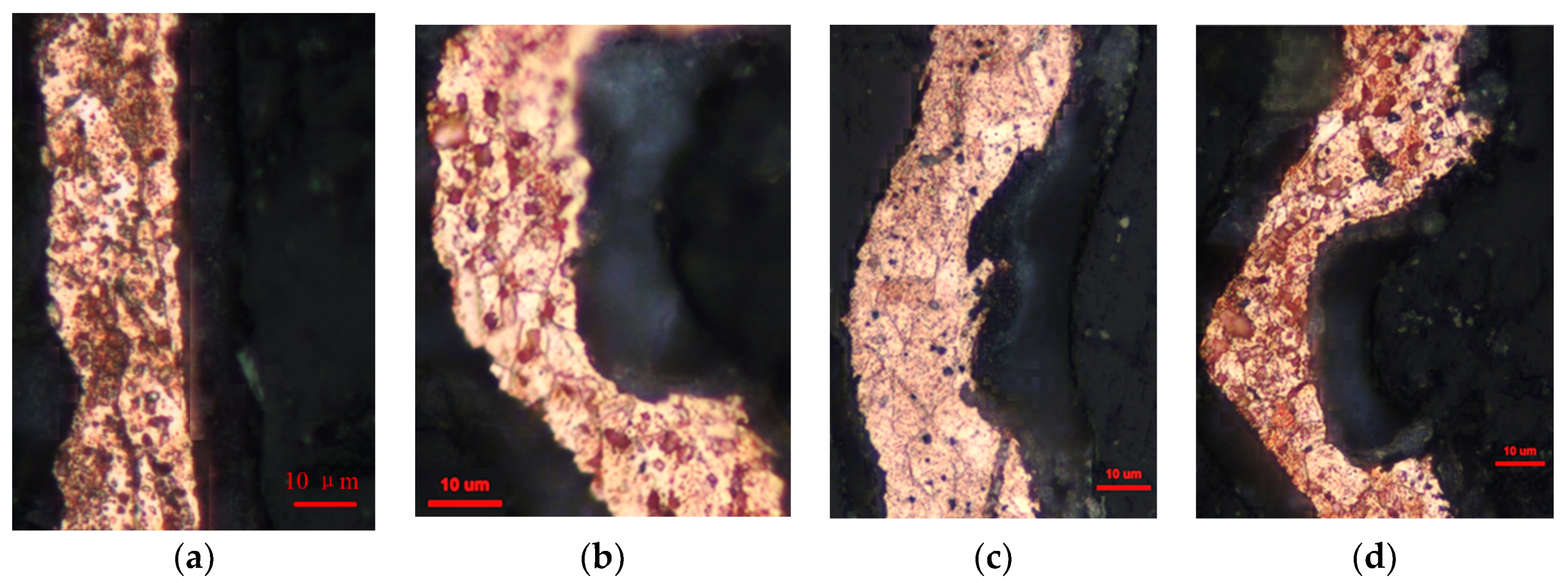 Coatings 10 01264 g010