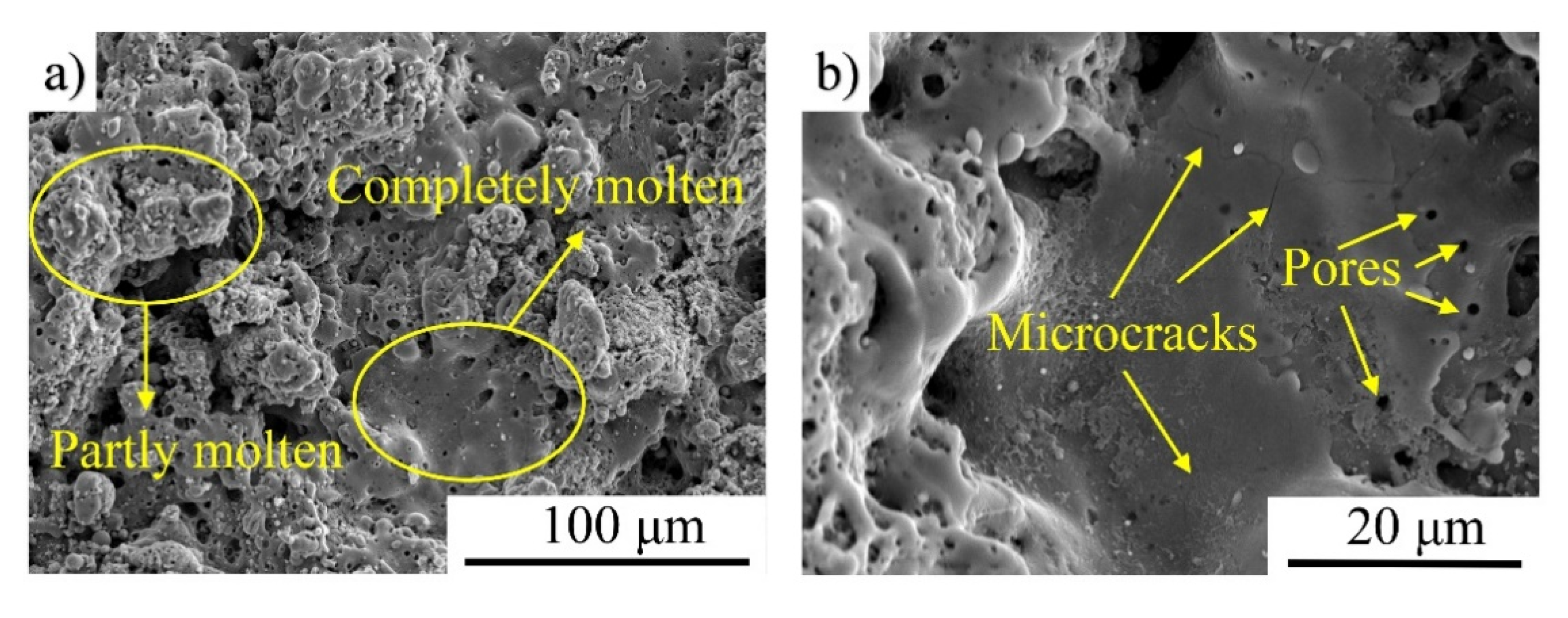 Coatings 10 01268 g005