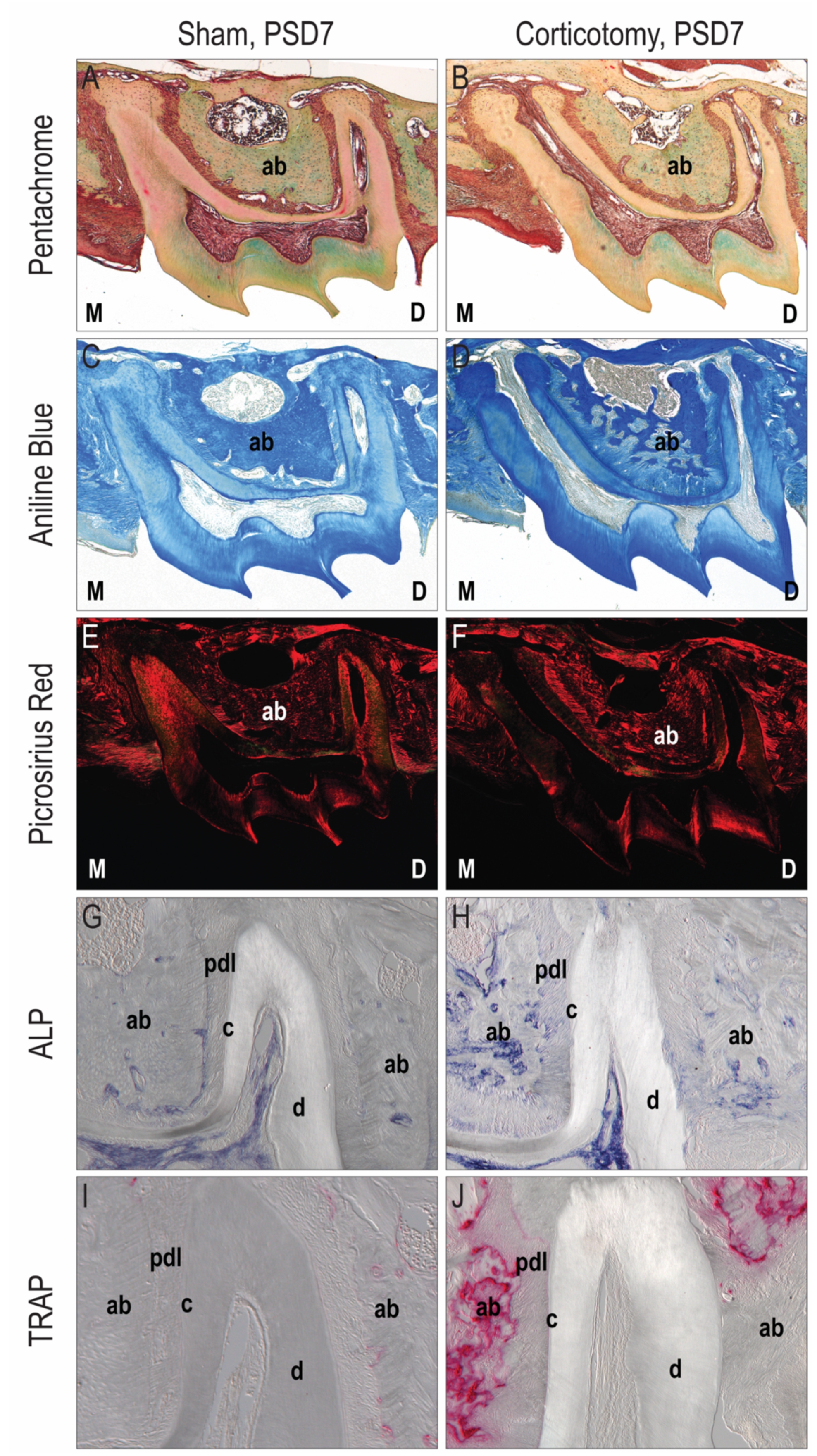 Coatings 11 00001 g001 Coatings 11 00001 g001