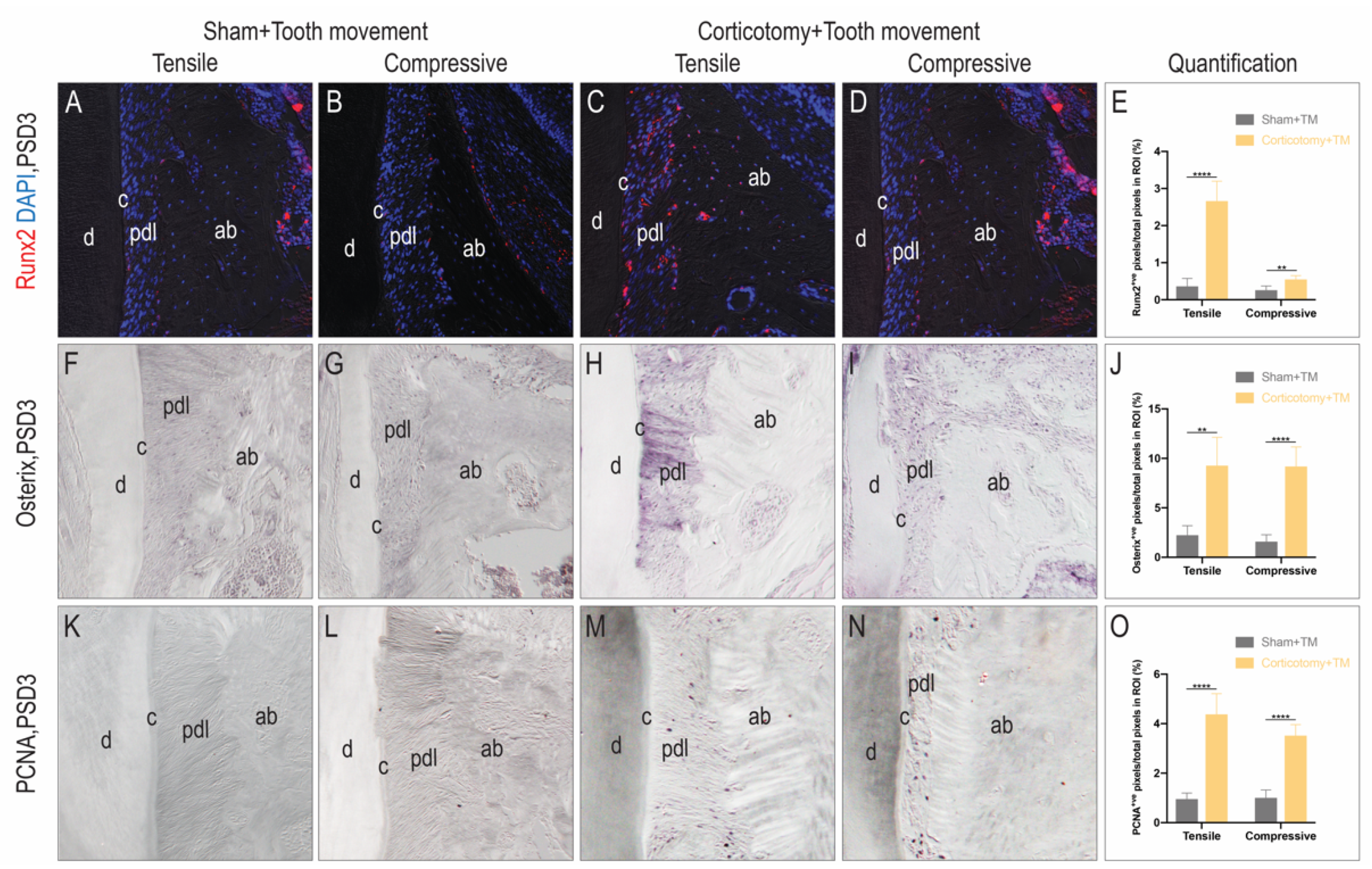 Coatings 11 00001 g002 Coatings 11 00001 g002