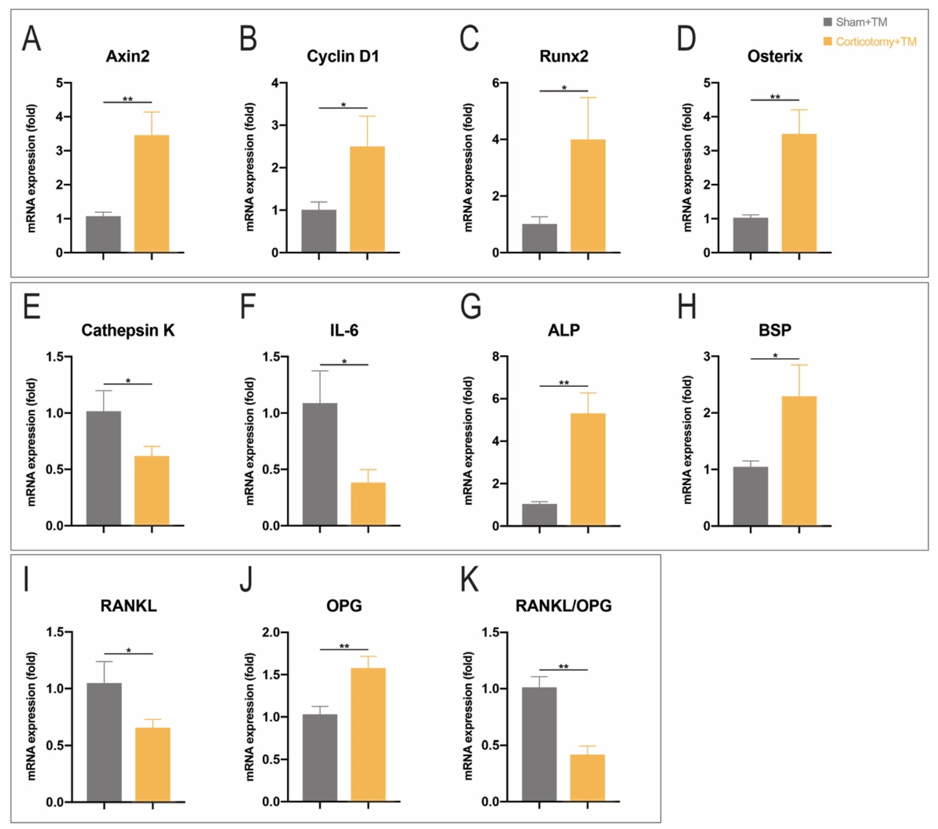 Coatings 11 00001 g003 Coatings 11 00001 g003