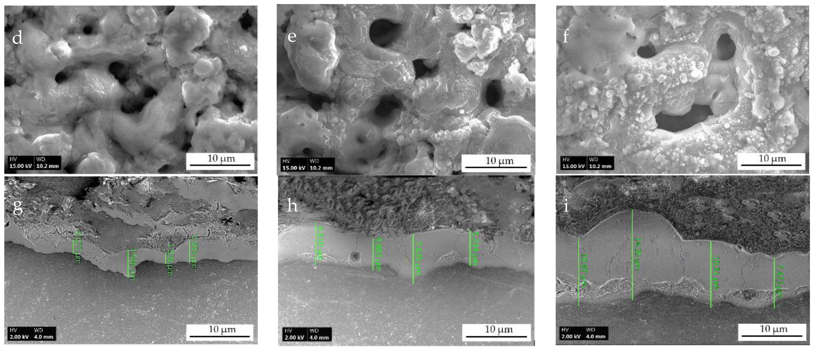 Coatings 11 00004 g001b