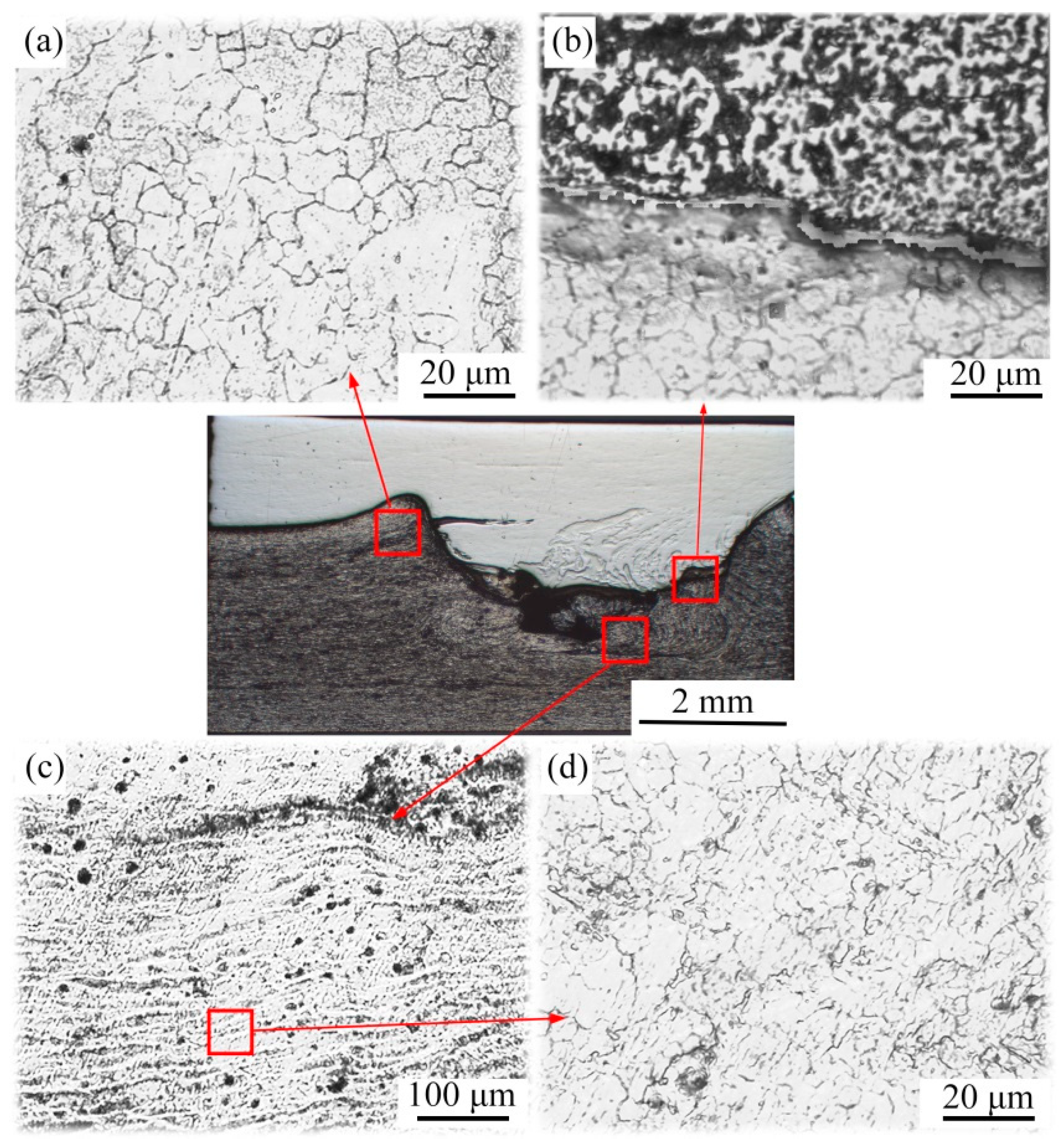 Coatings 11 00019 g011 Coatings 11 00019 g011
