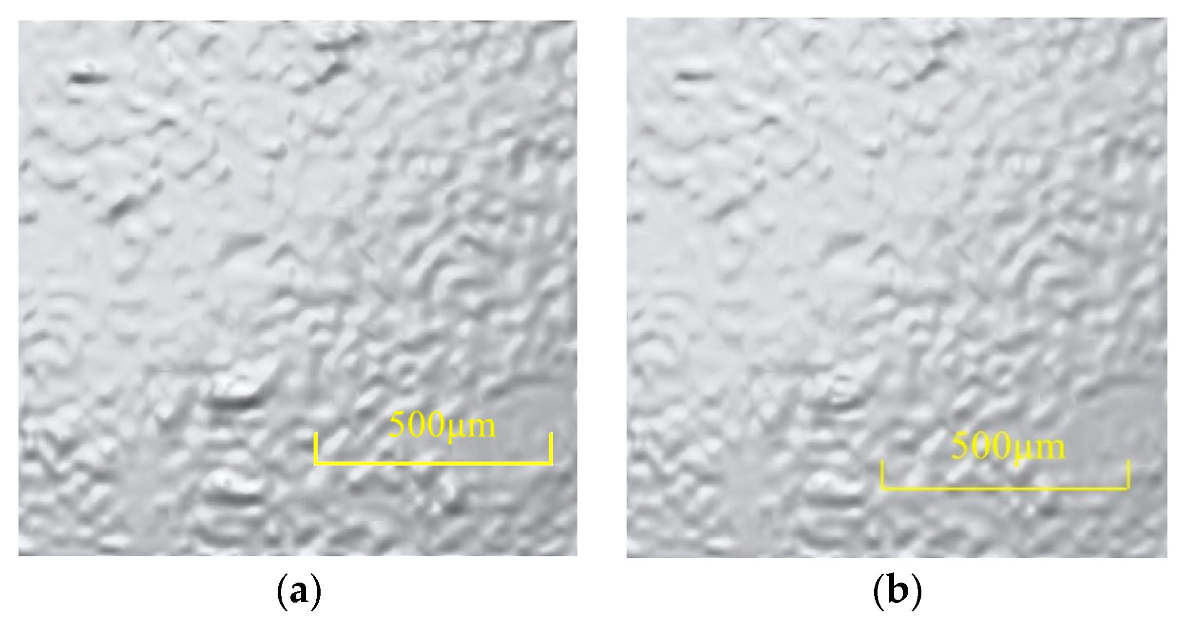 Coatings 11 00020 g007