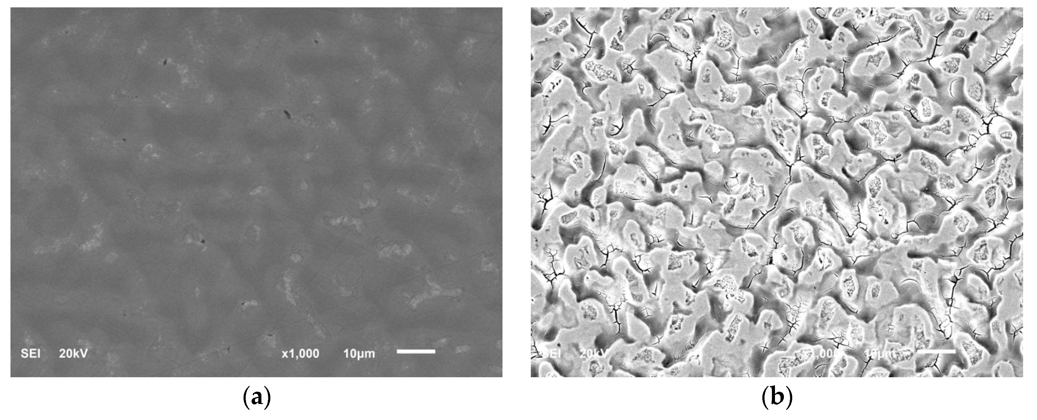 Coatings 11 00021 g004 Coatings 11 00021 g004