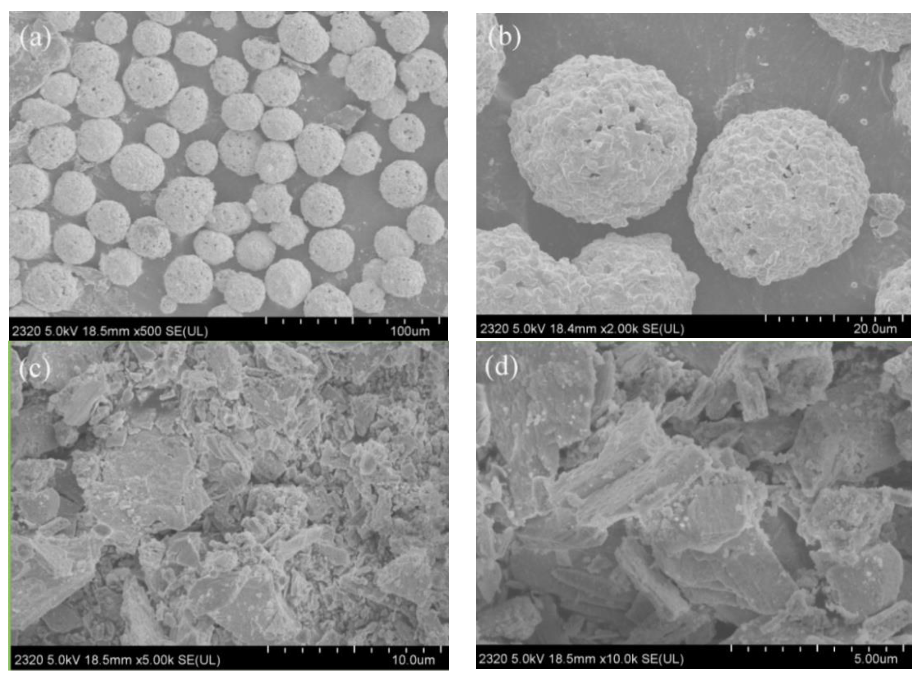 Coatings 11 00024 g001
