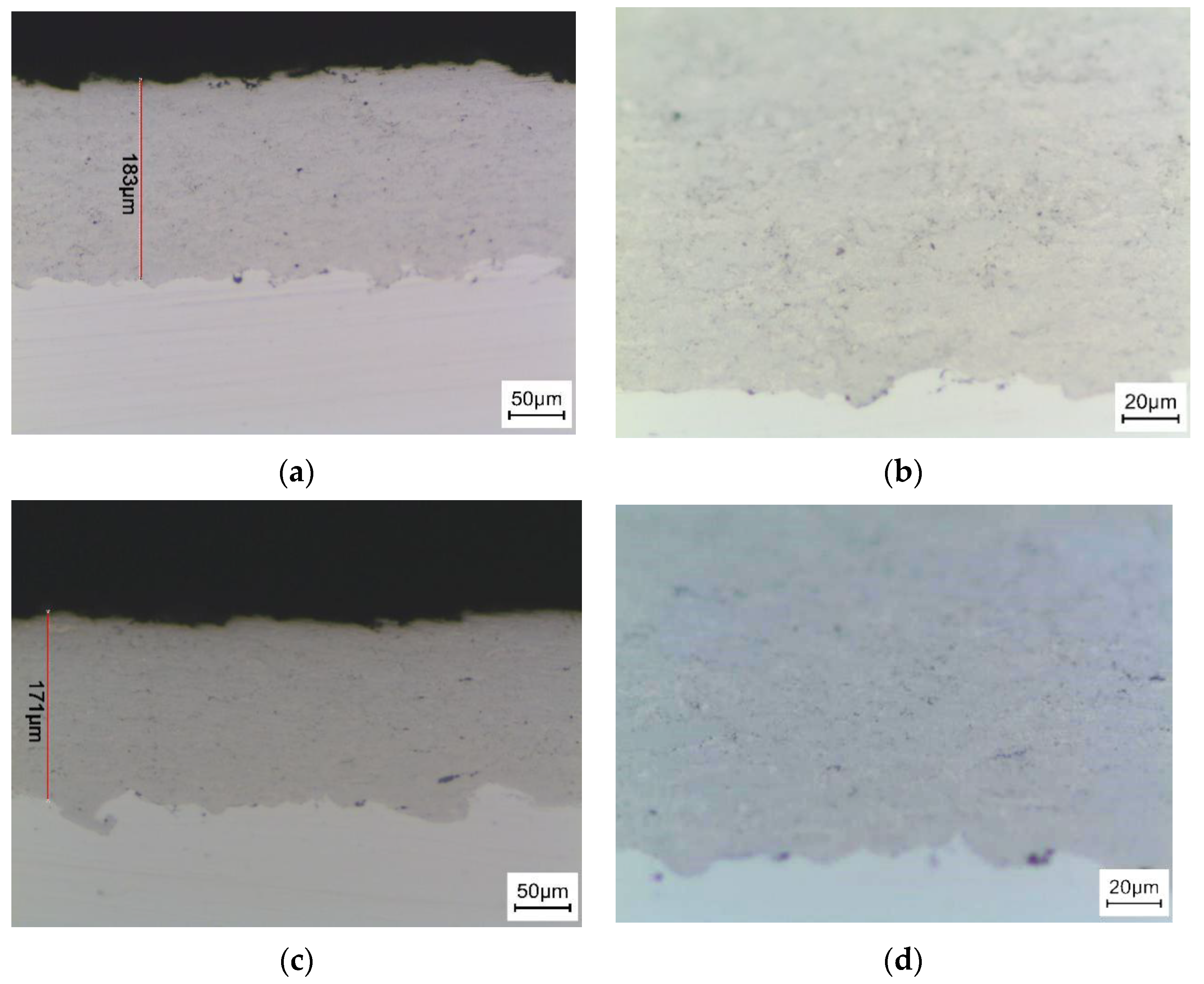 Coatings 11 00024 g004