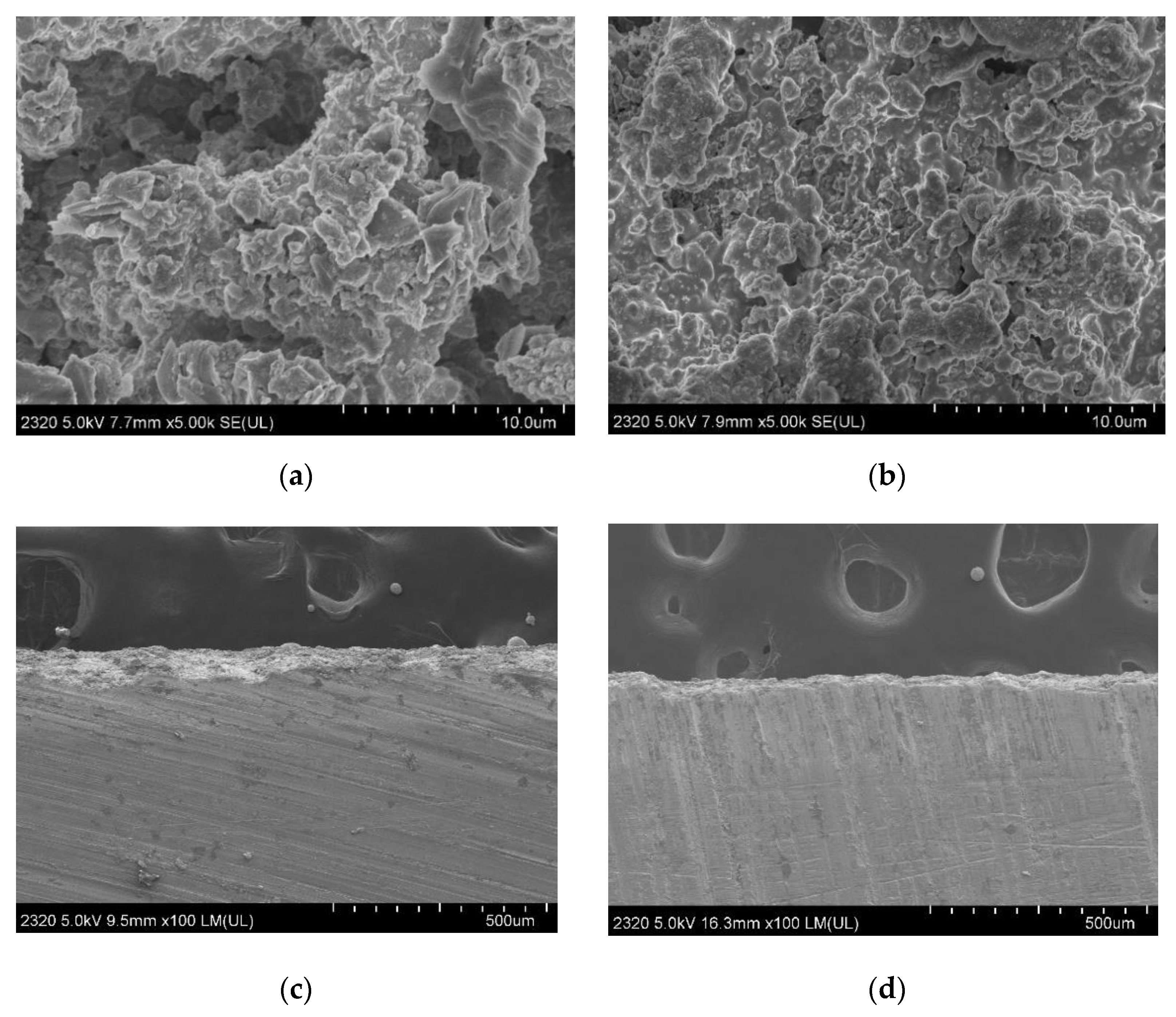 Coatings 11 00024 g005