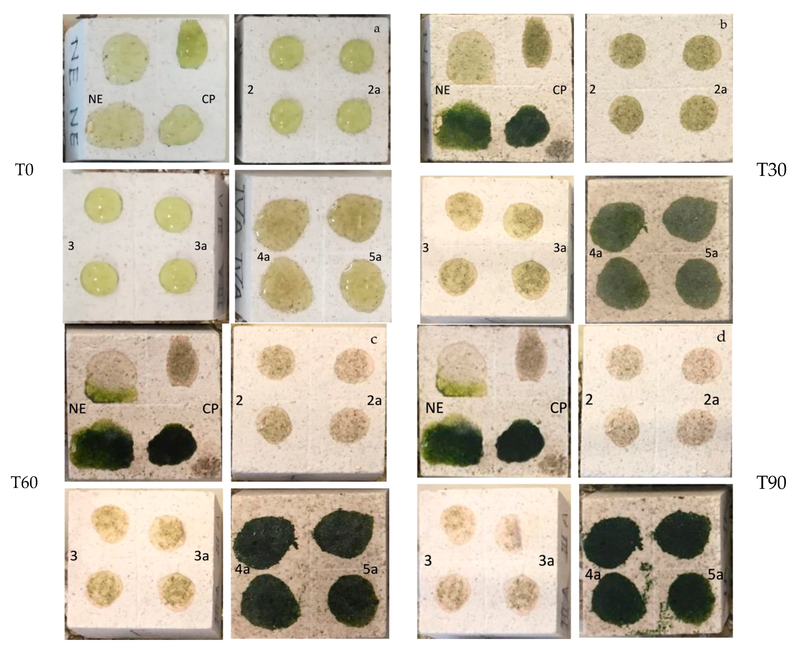 Coatings 11 00026 g003 Coatings 11 00026 g003