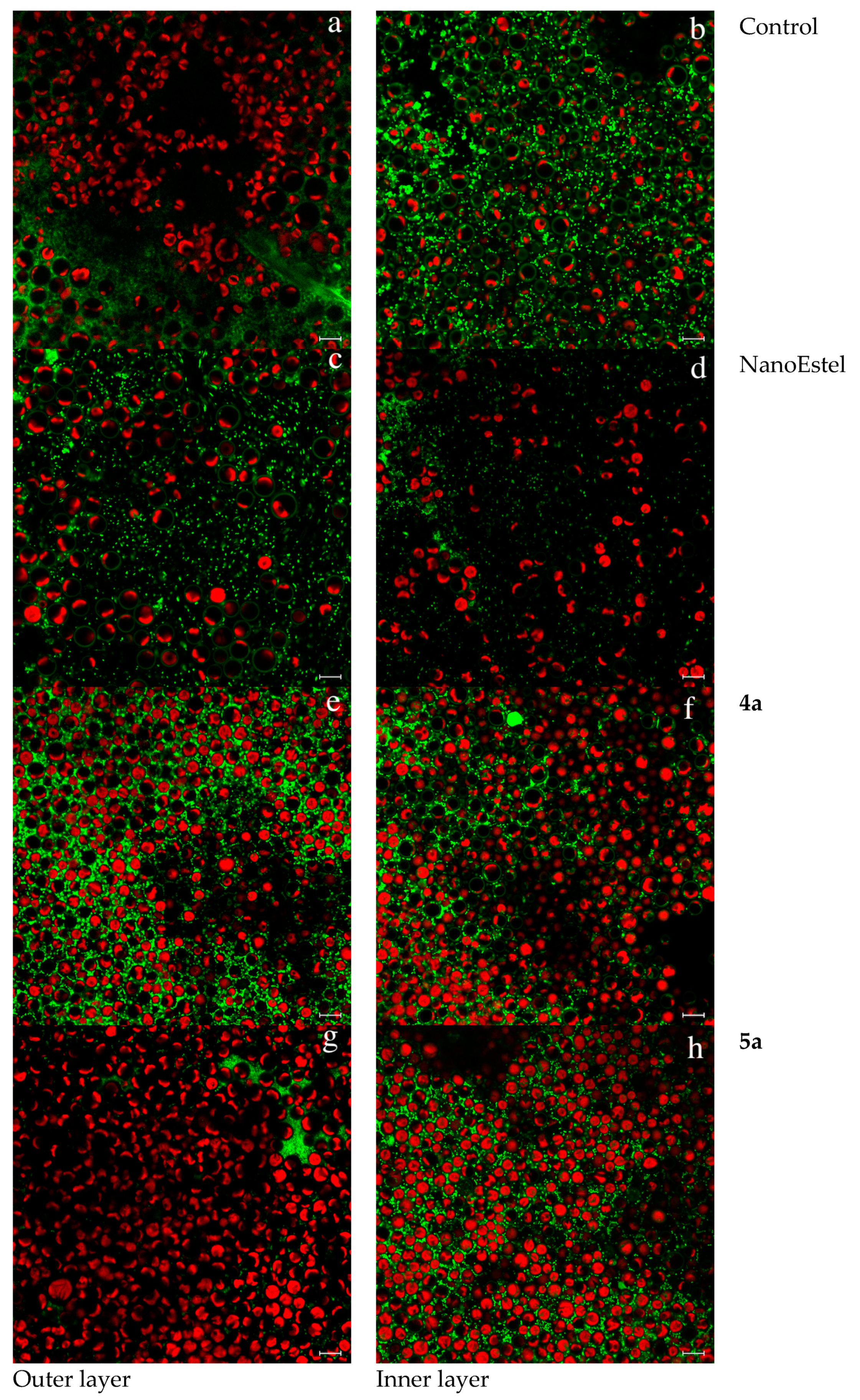 Coatings 11 00026 g004 Coatings 11 00026 g004