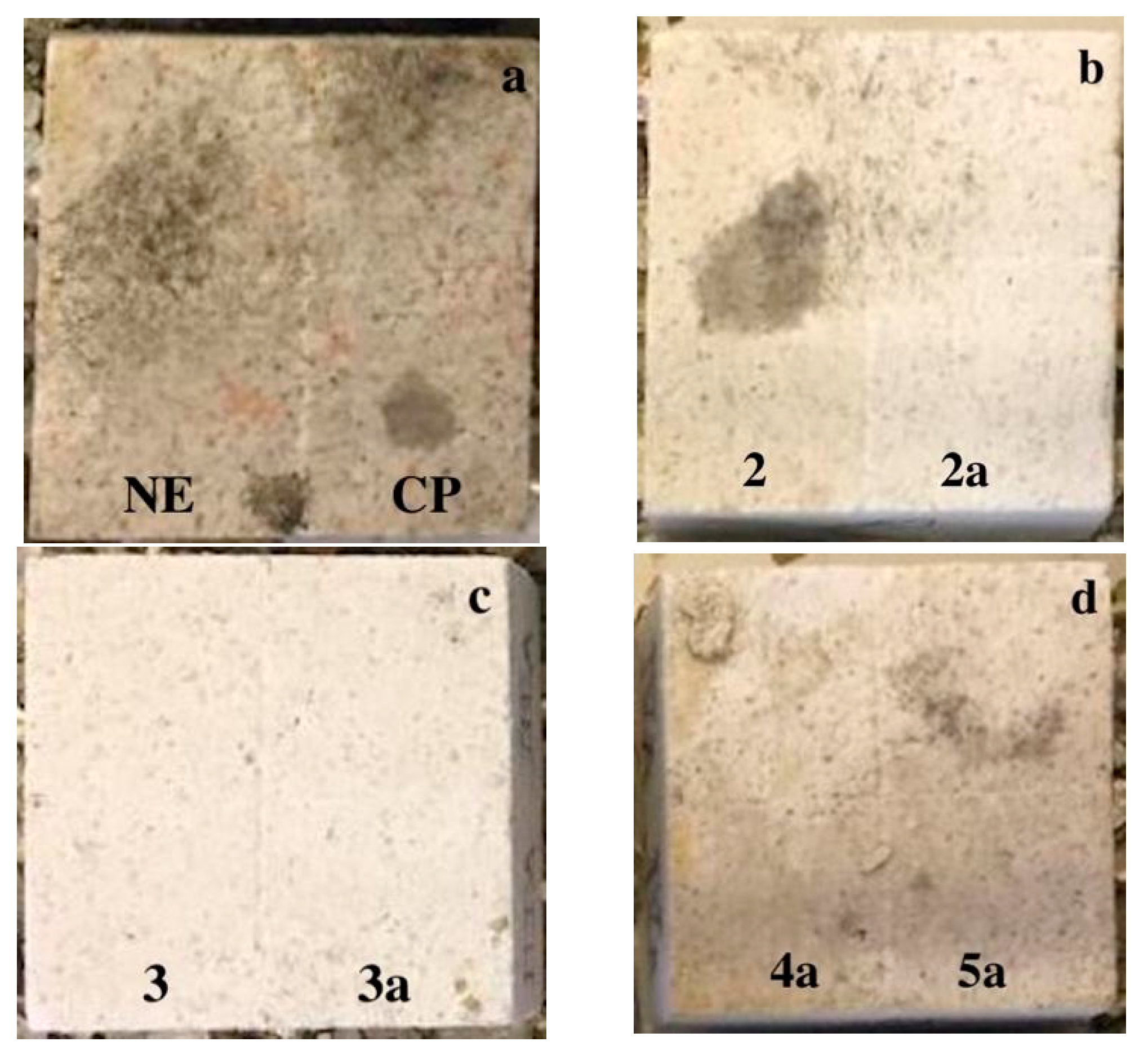 Coatings 11 00026 g006 Coatings 11 00026 g006