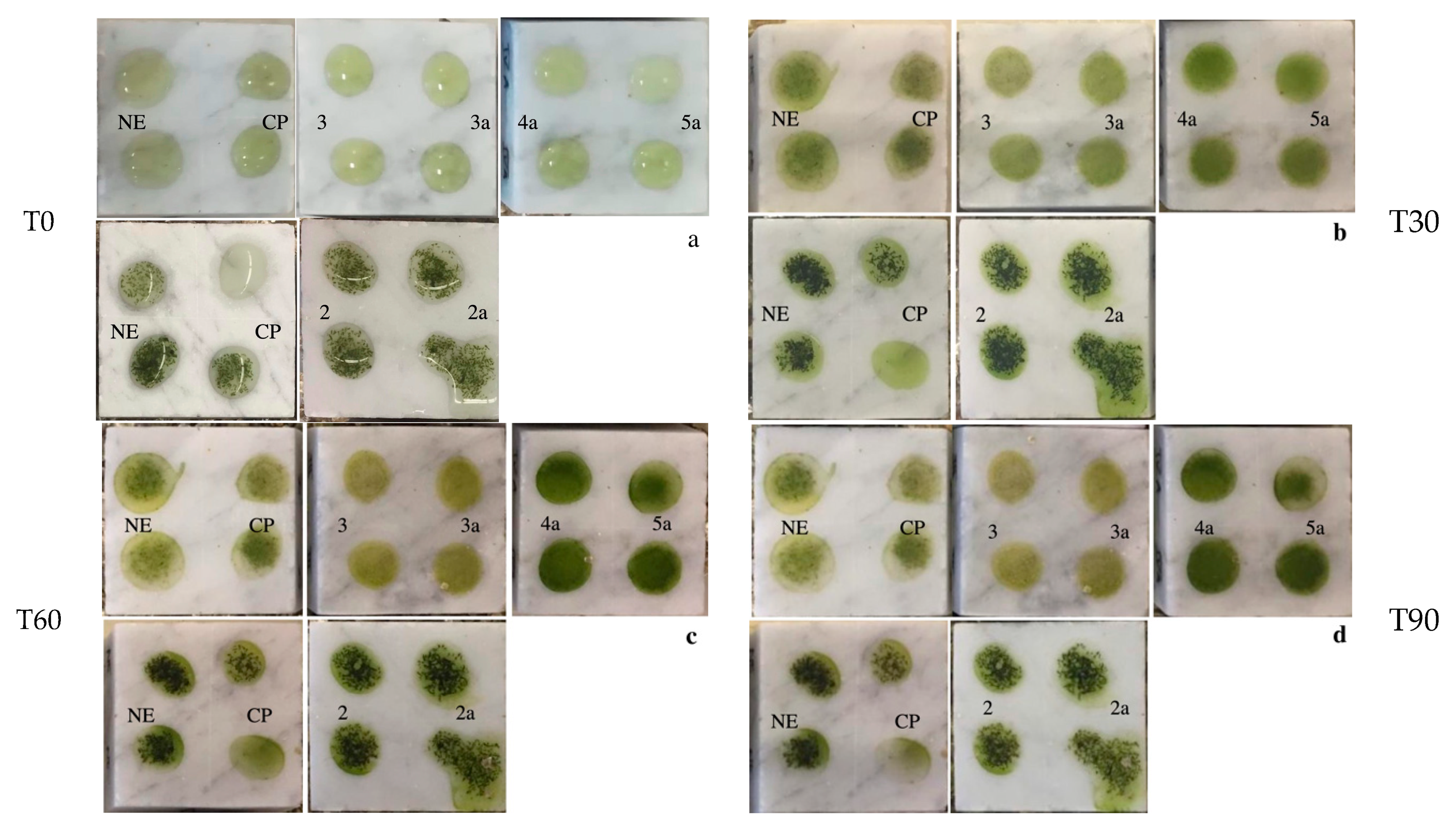Coatings 11 00026 g007 Coatings 11 00026 g007