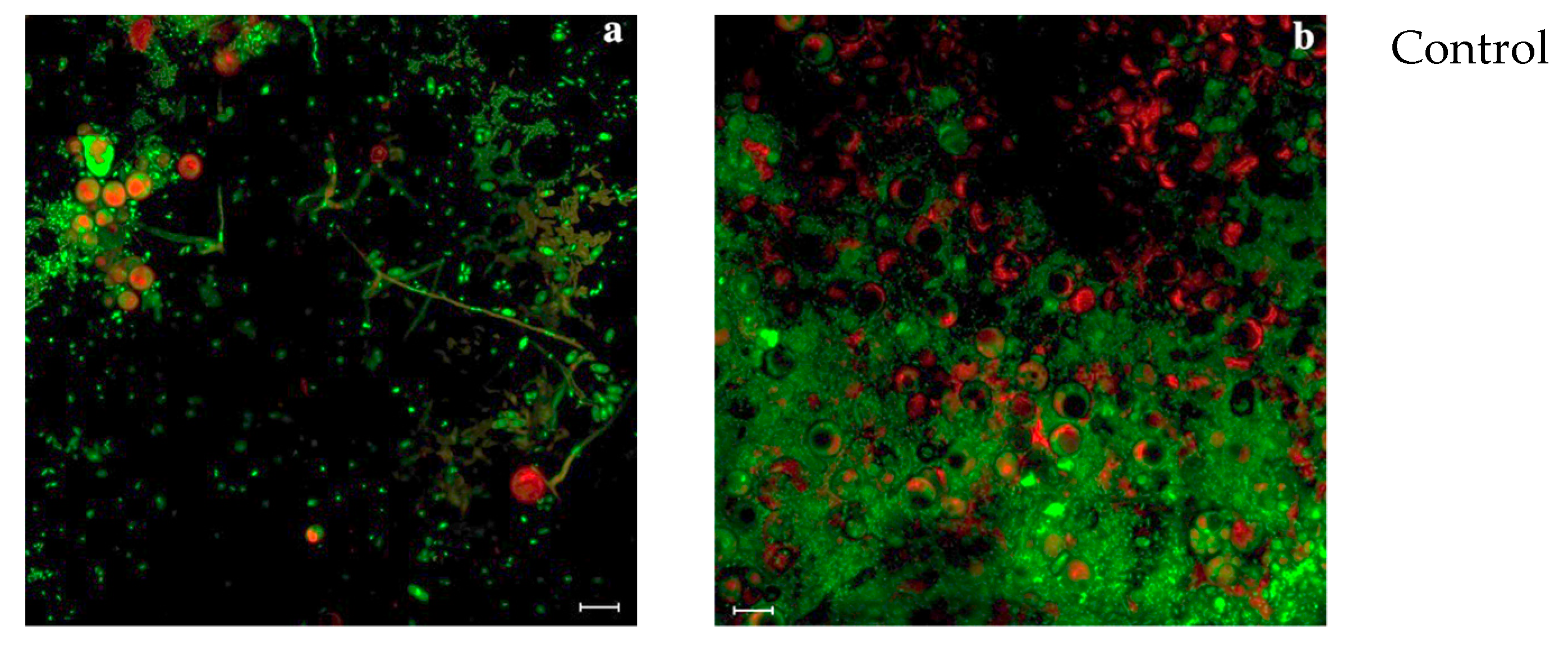 Coatings 11 00026 g008a Coatings 11 00026 g008a