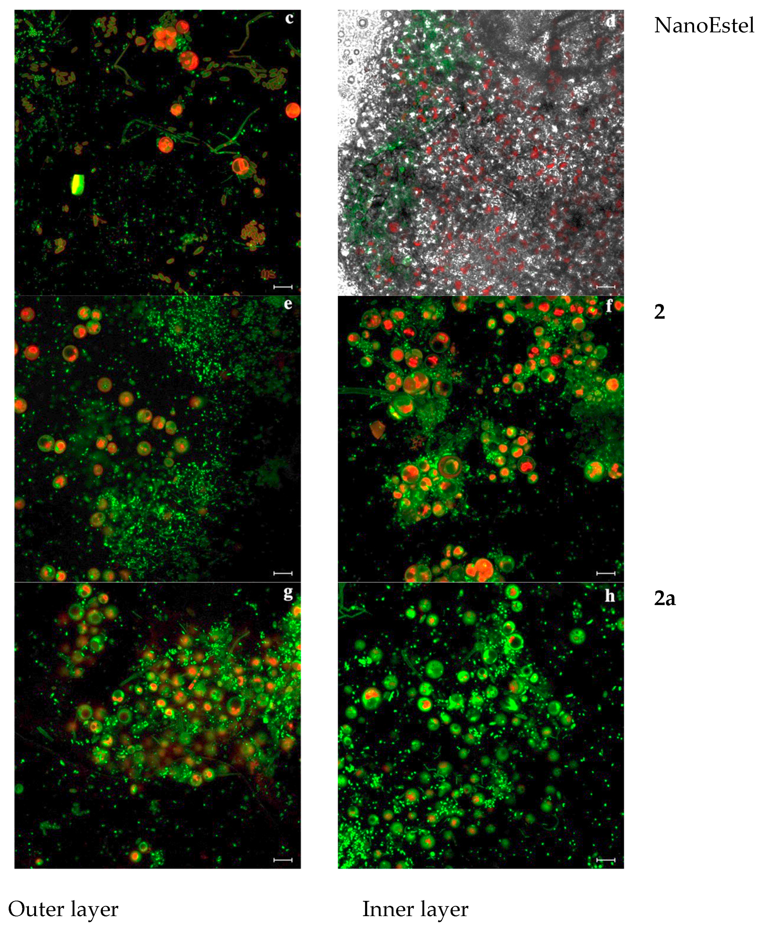 Coatings 11 00026 g008b Coatings 11 00026 g008b