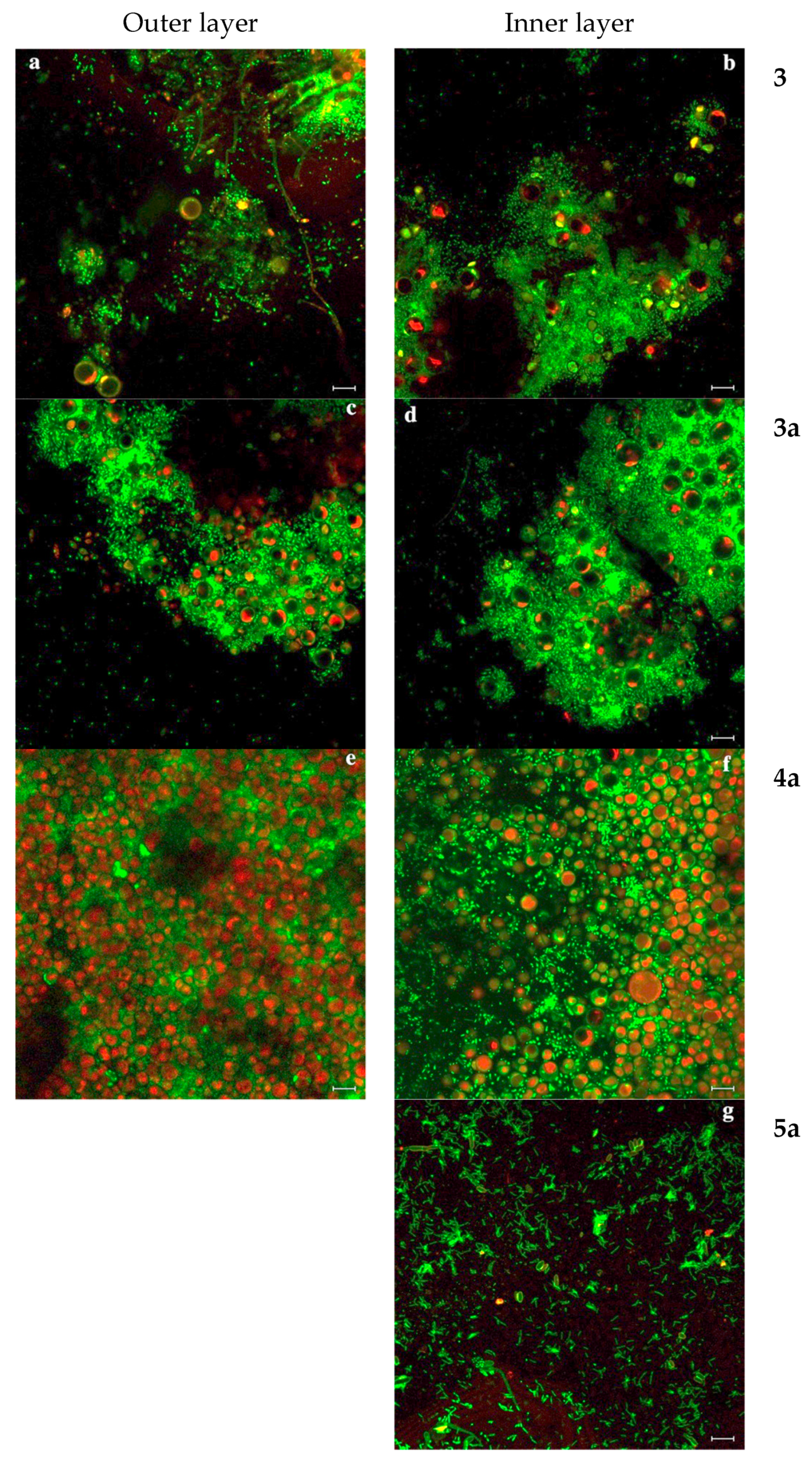 Coatings 11 00026 g009 Coatings 11 00026 g009