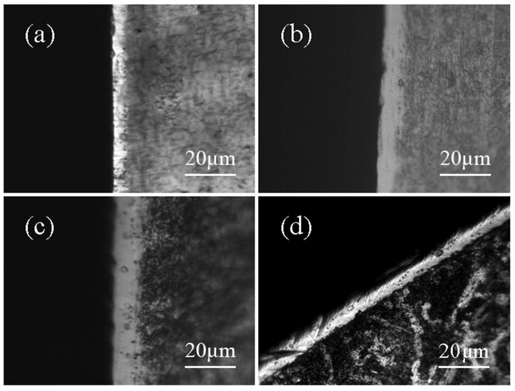 Coatings 11 00027 g002