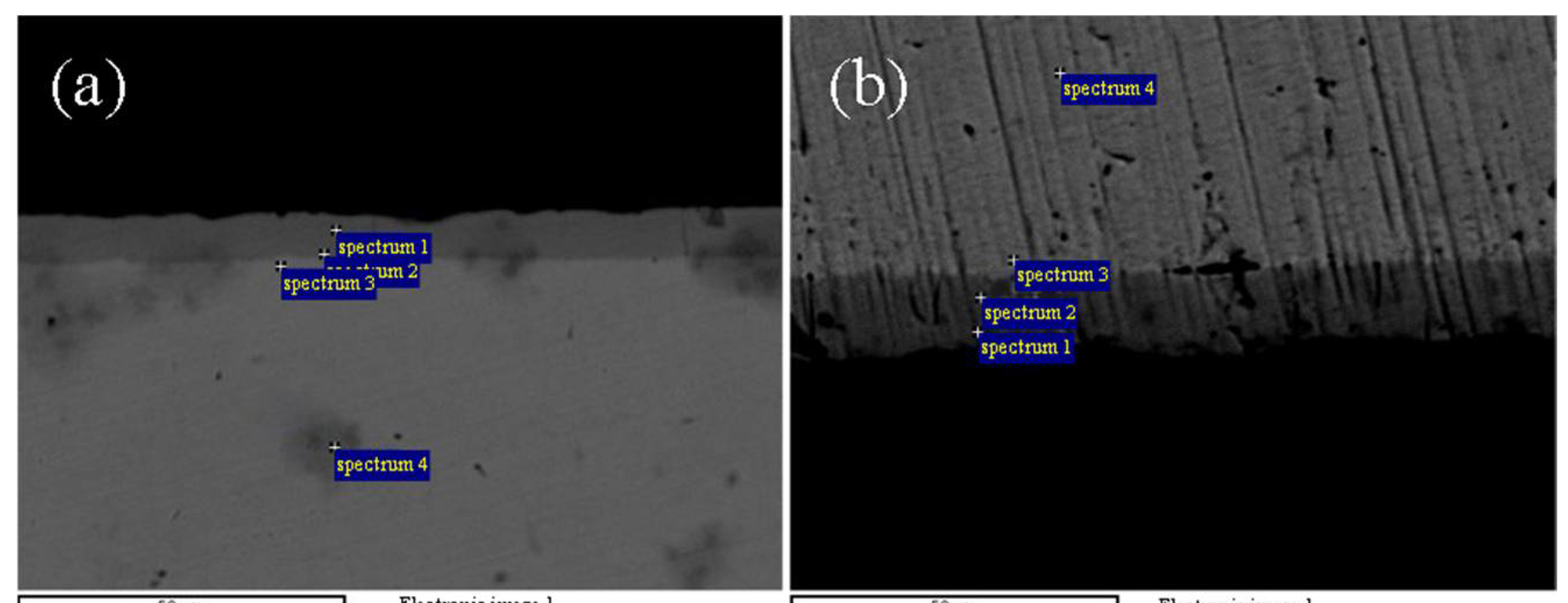 Coatings 11 00027 g003