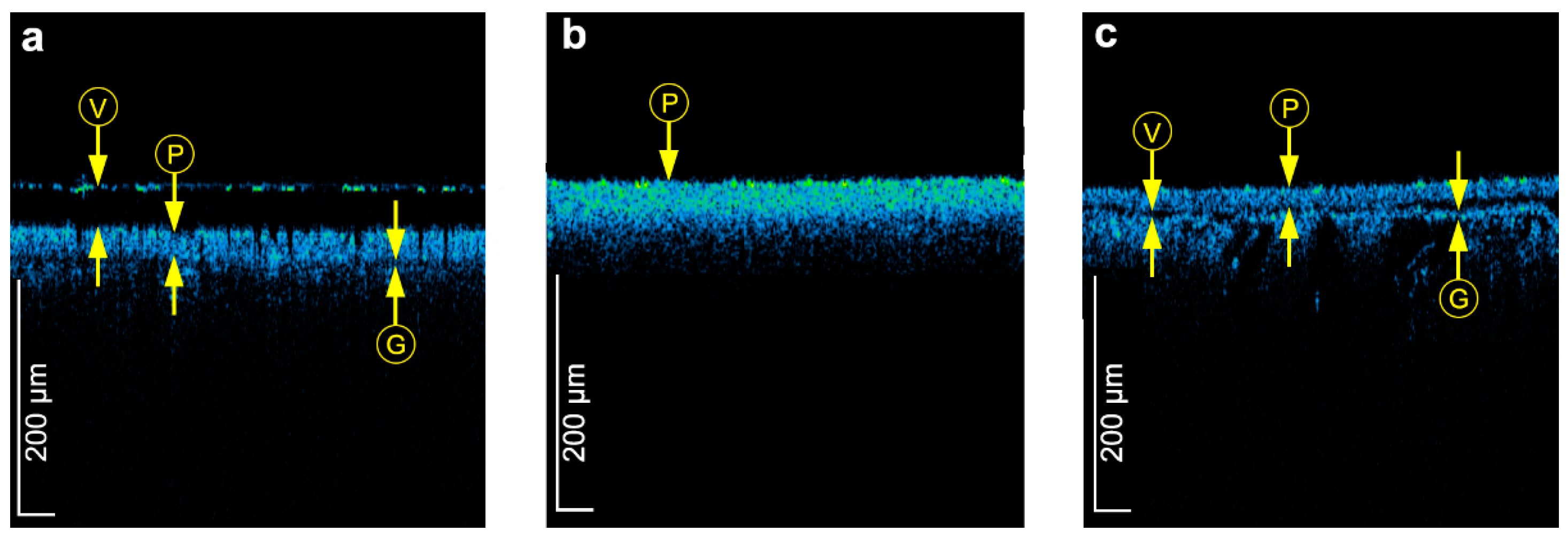 Coatings 11 00029 g002 Coatings 11 00029 g002