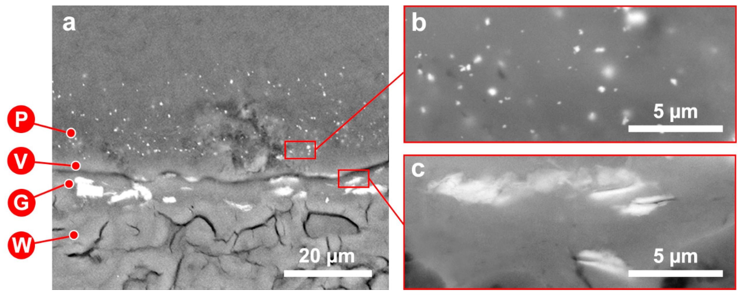 Coatings 11 00029 g003 Coatings 11 00029 g003