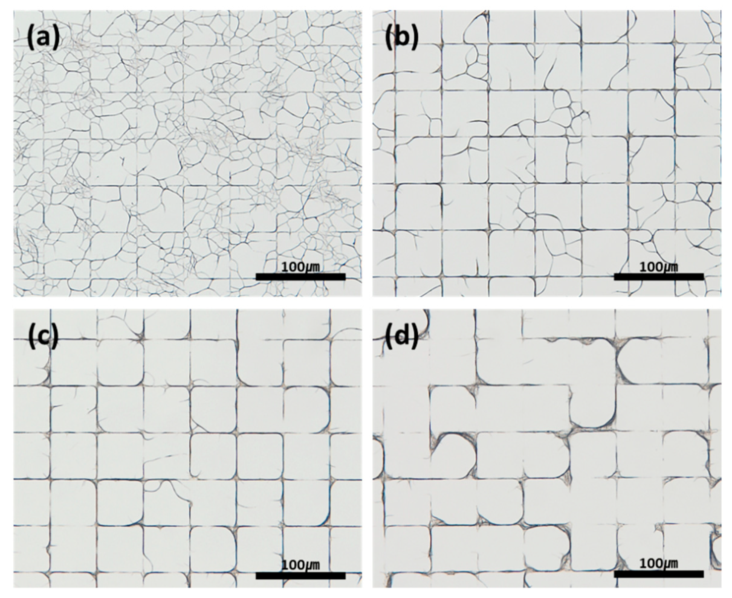 Coatings 11 00030 g005 Coatings 11 00030 g005