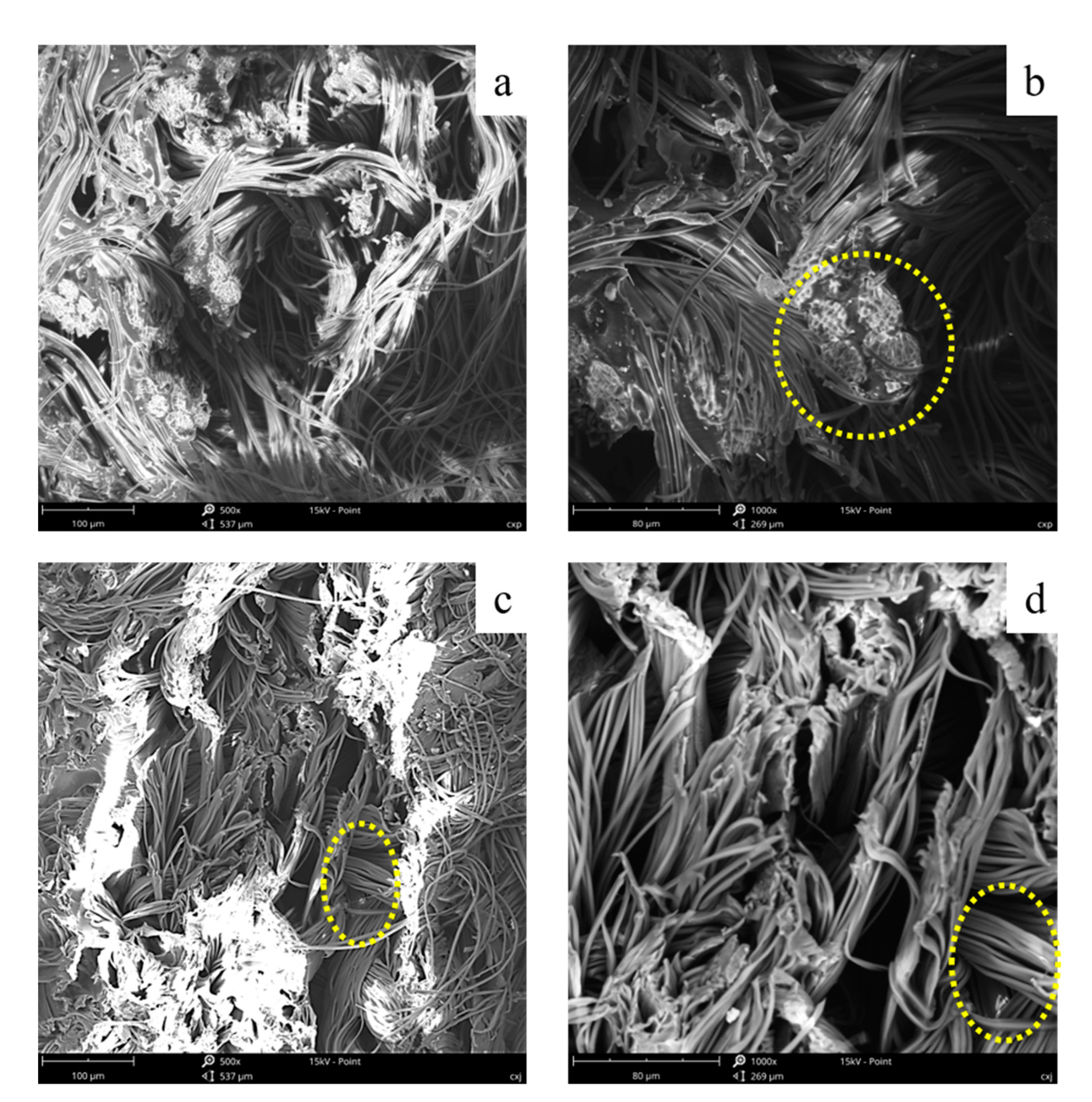 Coatings 11 00032 g007 Coatings 11 00032 g007