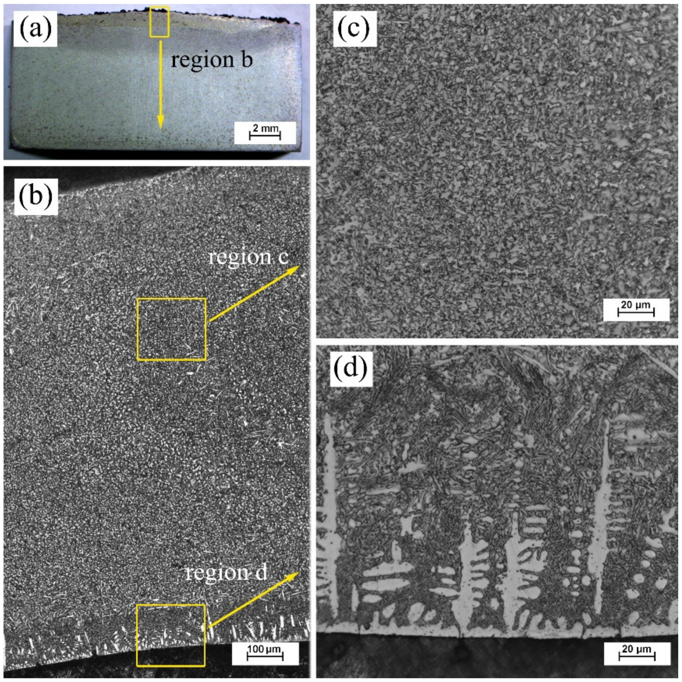 Coatings 11 00036 g003
