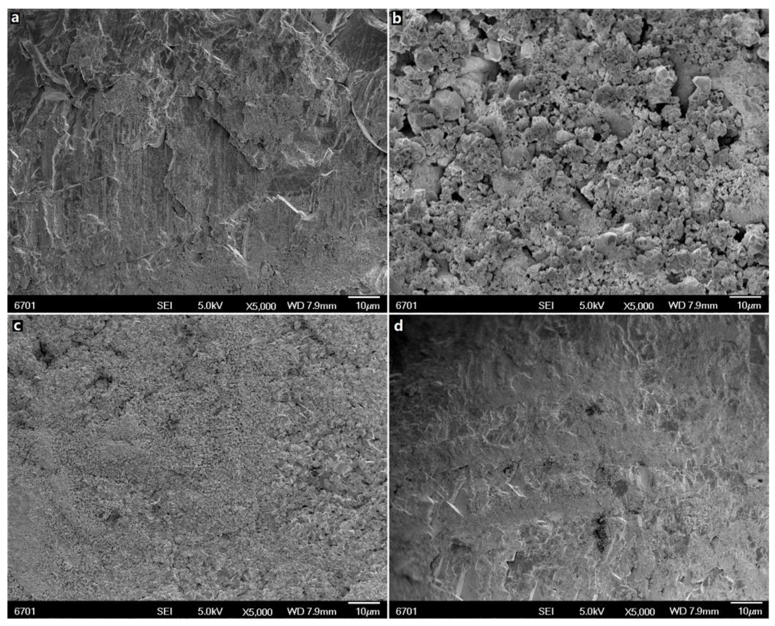 Coatings 11 00037 g002 Coatings 11 00037 g002