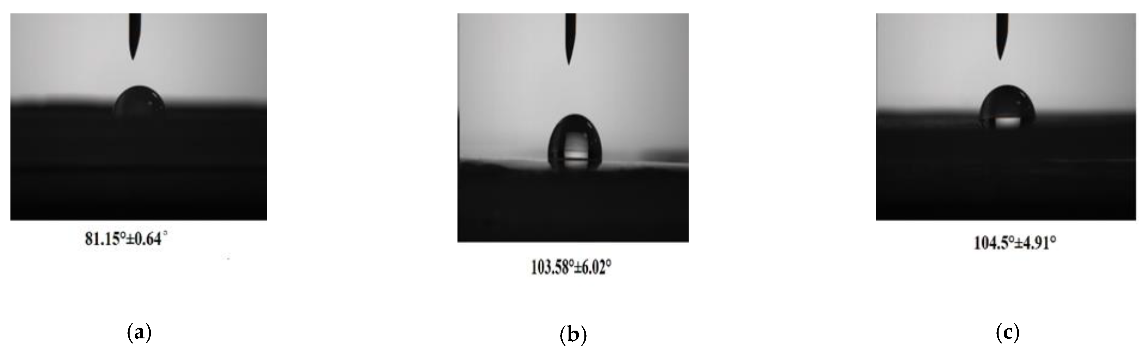 Coatings 11 00039 g003