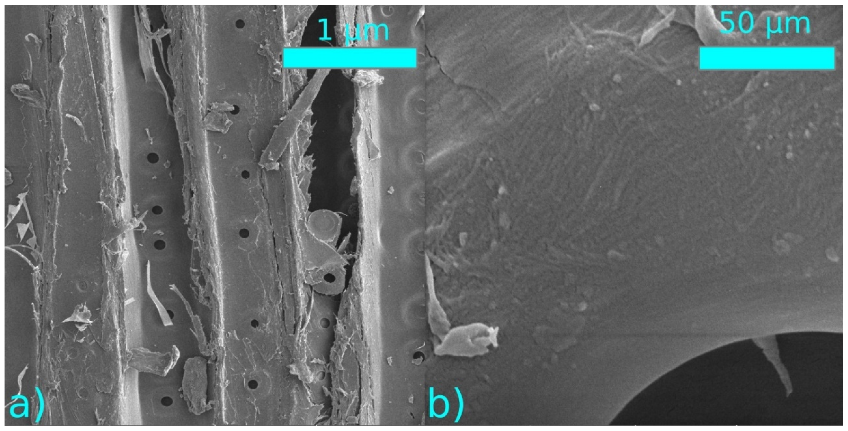 Coatings 11 00040 g010 550