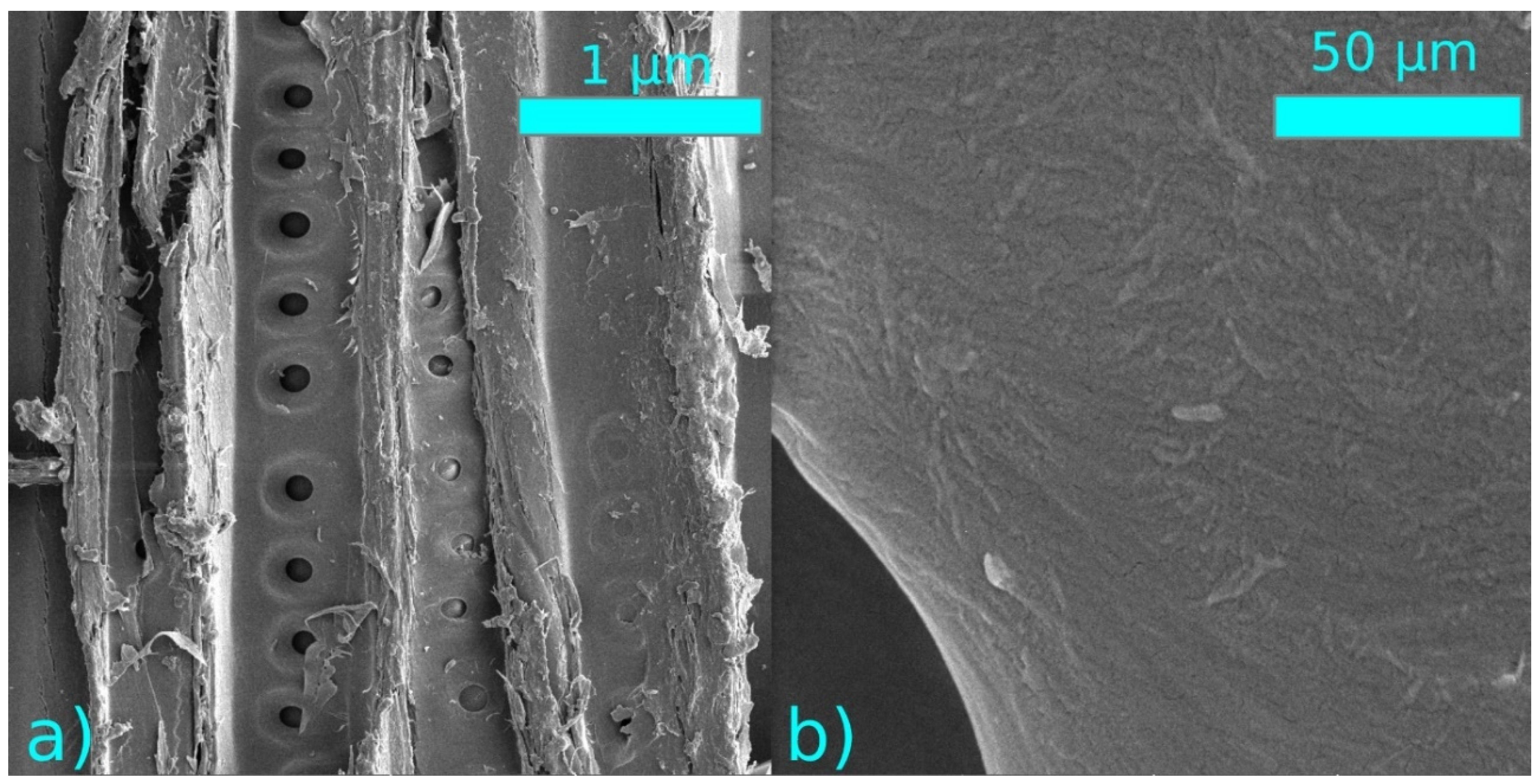 Coatings 11 00040 g011 550