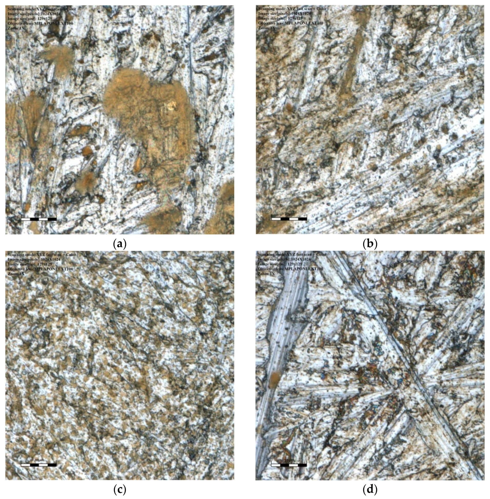 Coatings 11 00042 g005